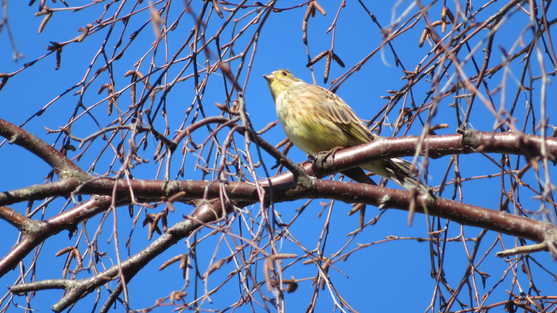 Valokuvaaja: Risto Kangassalo Valokuvaaja: Risto Kangassalo