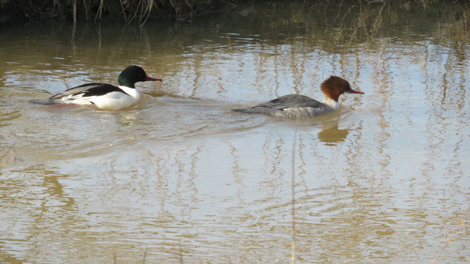 Valokuvaaja: Risto Kangassalo