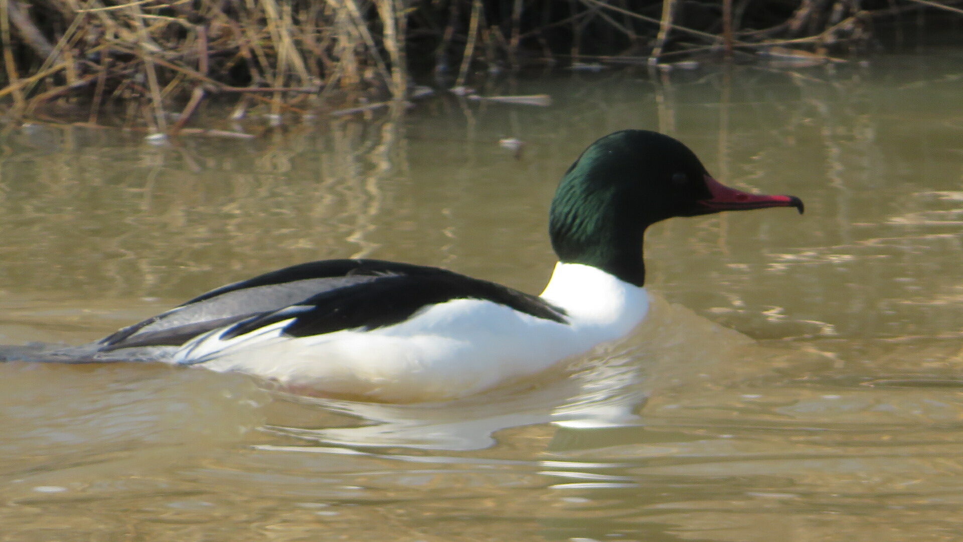 Valokuvaaja: Risto Kangassalo