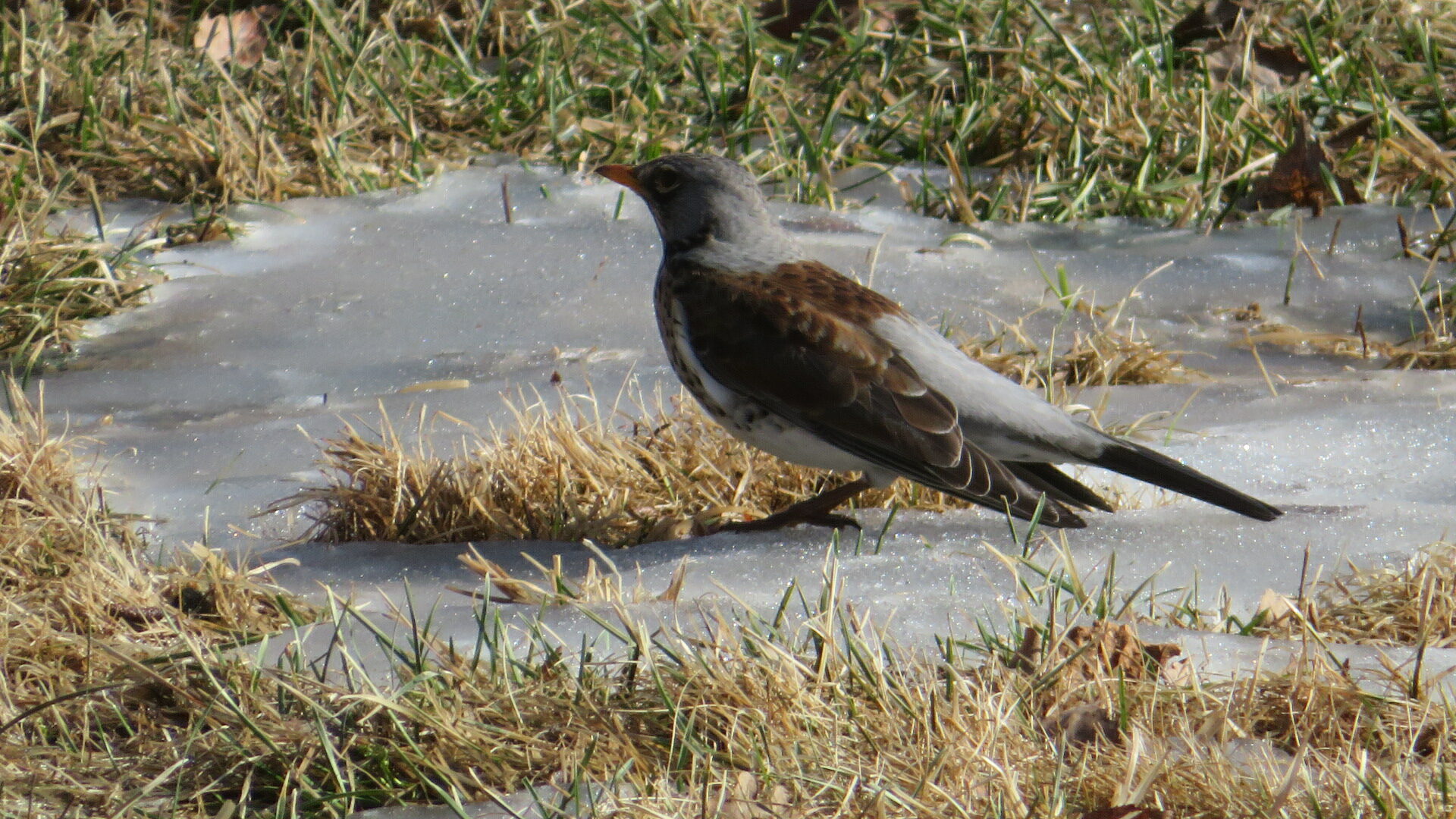 Valokuvaaja: Risto Kangassalo
