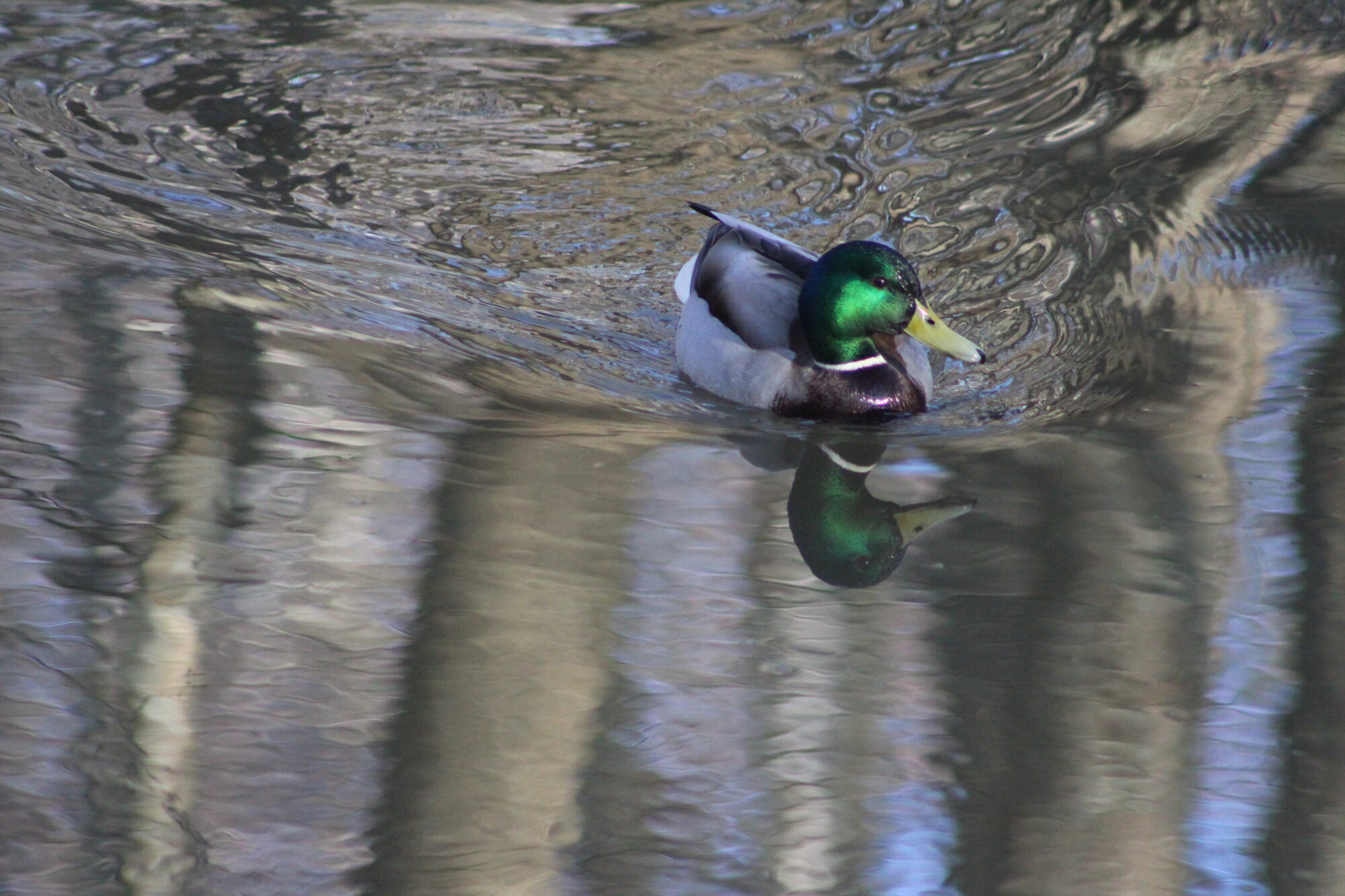 Valokuvaaja: Lisa Aarnio Valokuvaaja: Lisa Aarnio