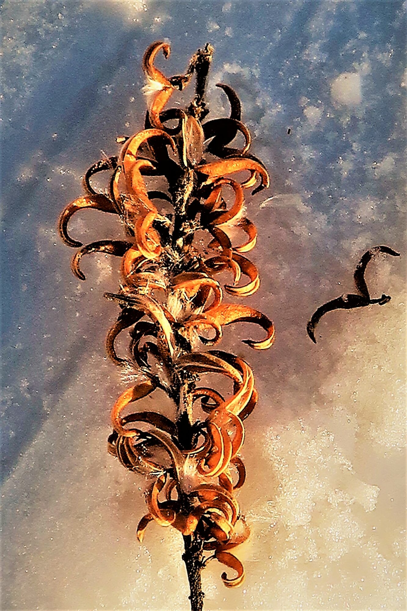 Valokuvaaja: Arto Alasuutari