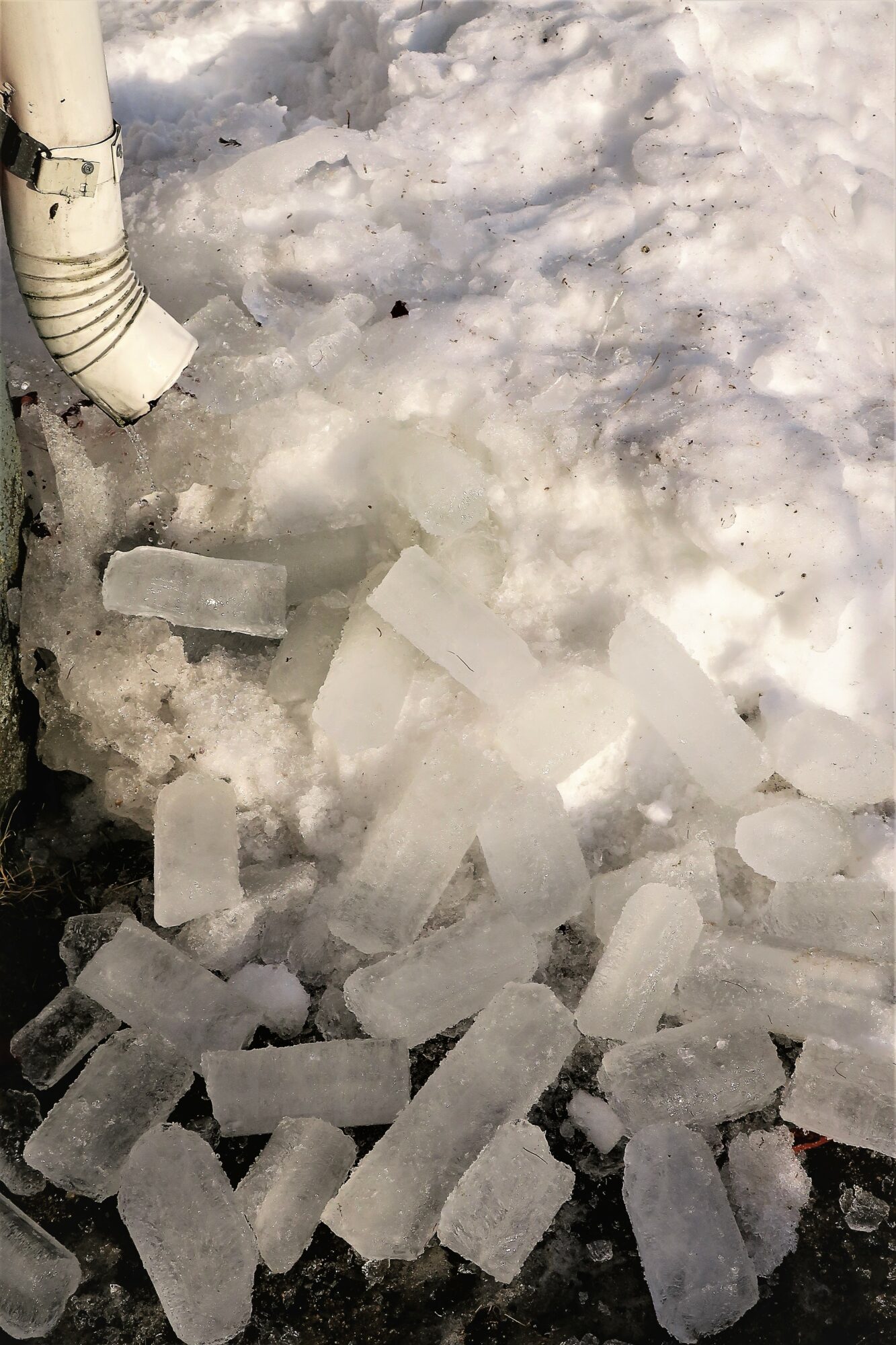 Valokuvaaja: Arto Alasuutari