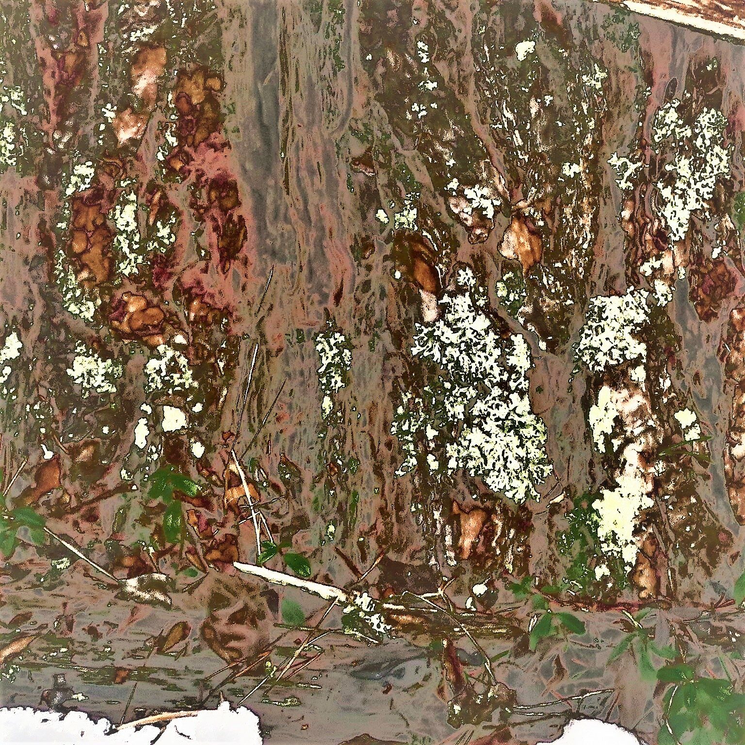 Valokuvaaja: Arto Alasuutari