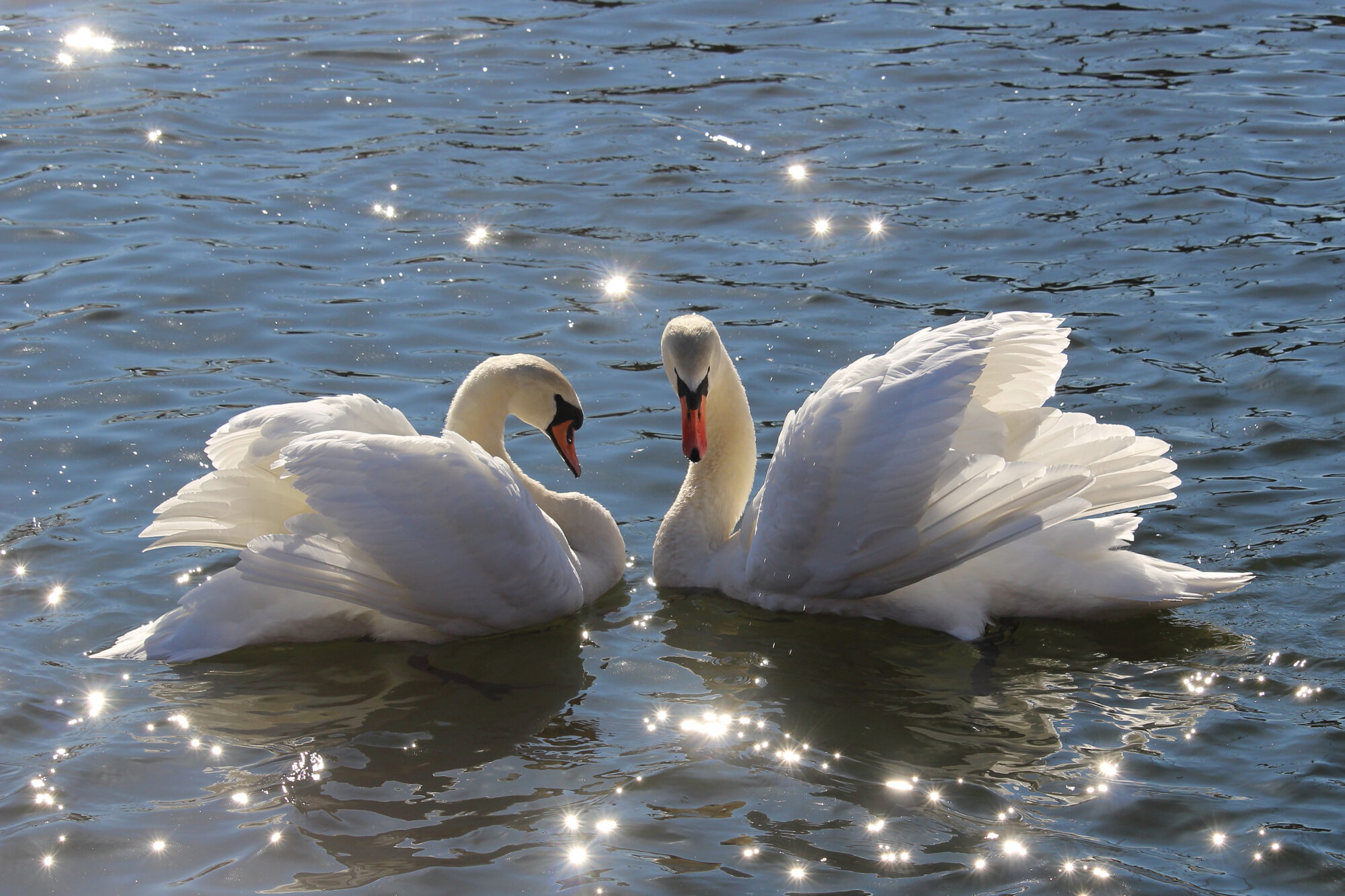 Valokuvaaja: Kirsi-Marja Joenpolvi