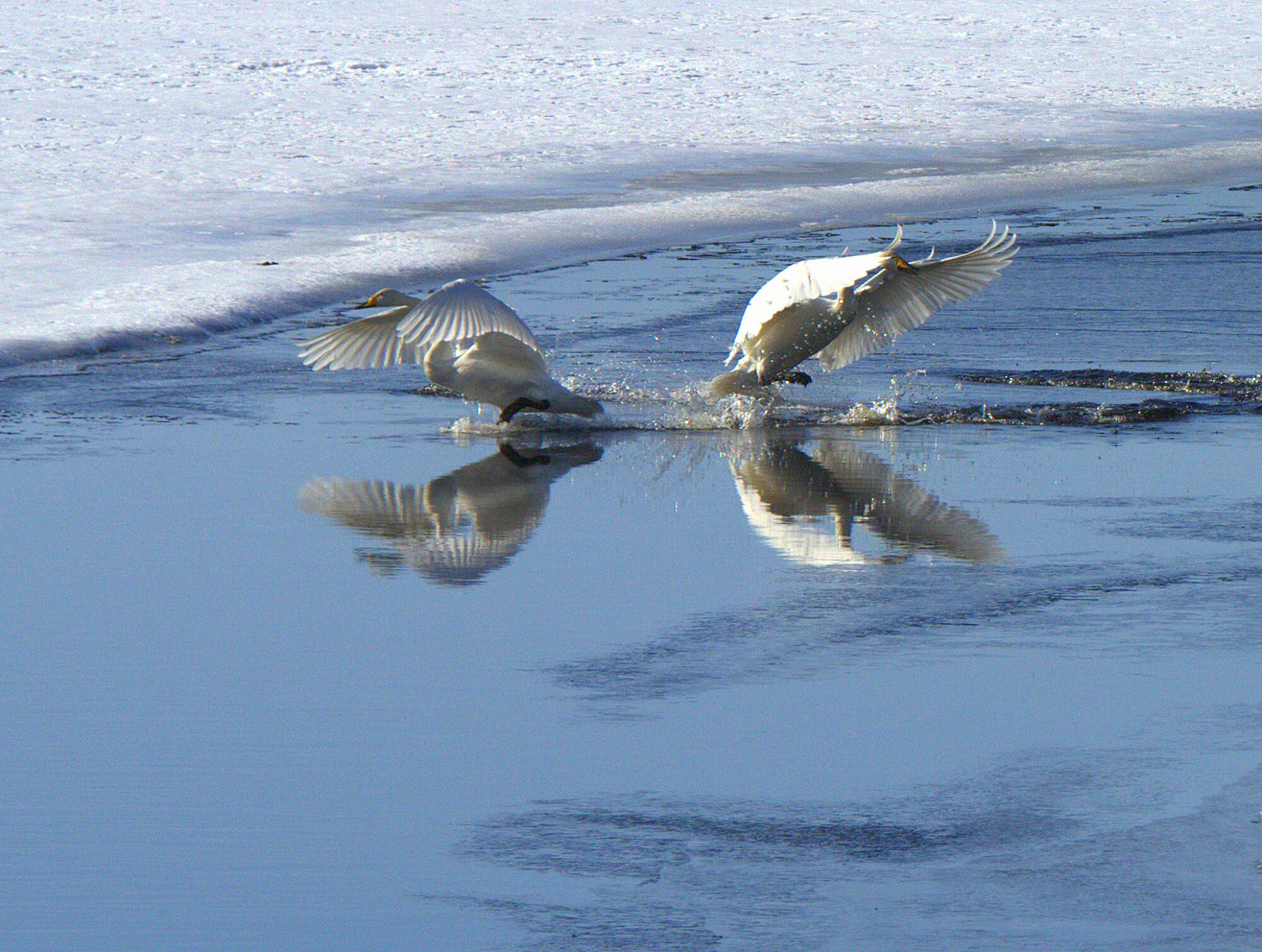 Valokuvaaja: tapio keinonen