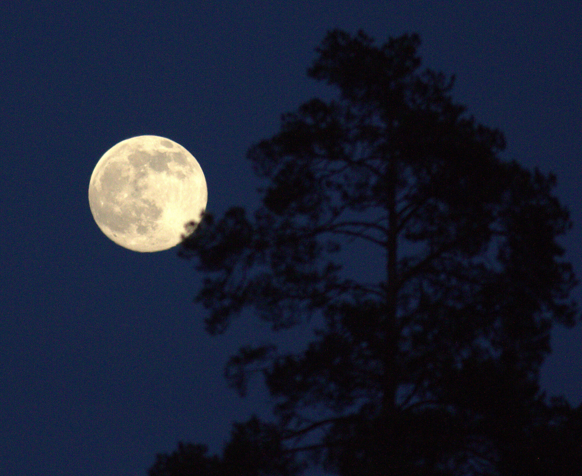 Valokuvaaja: Tapio Keinonen