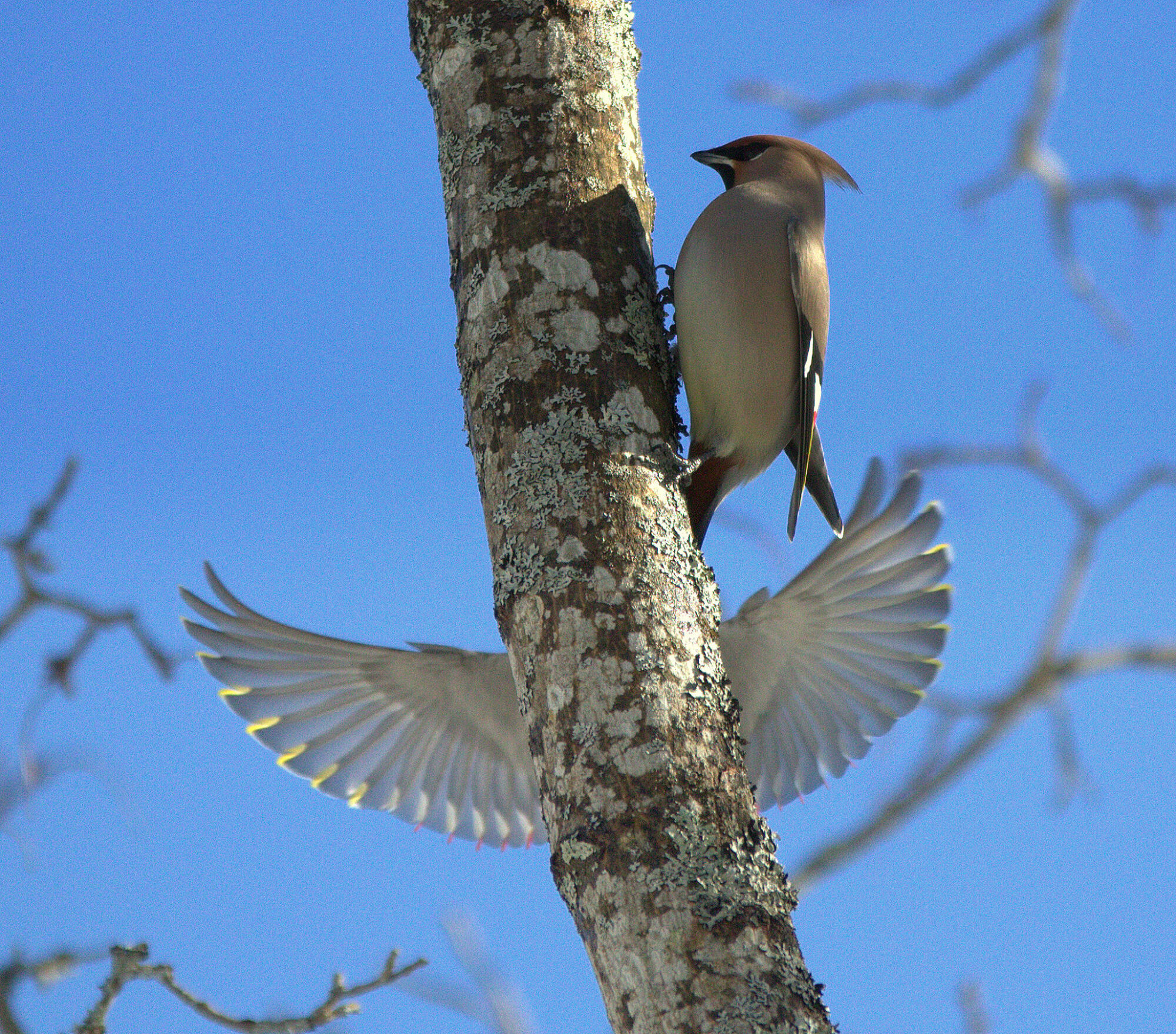 Valokuvaaja: Tapio Keinonen