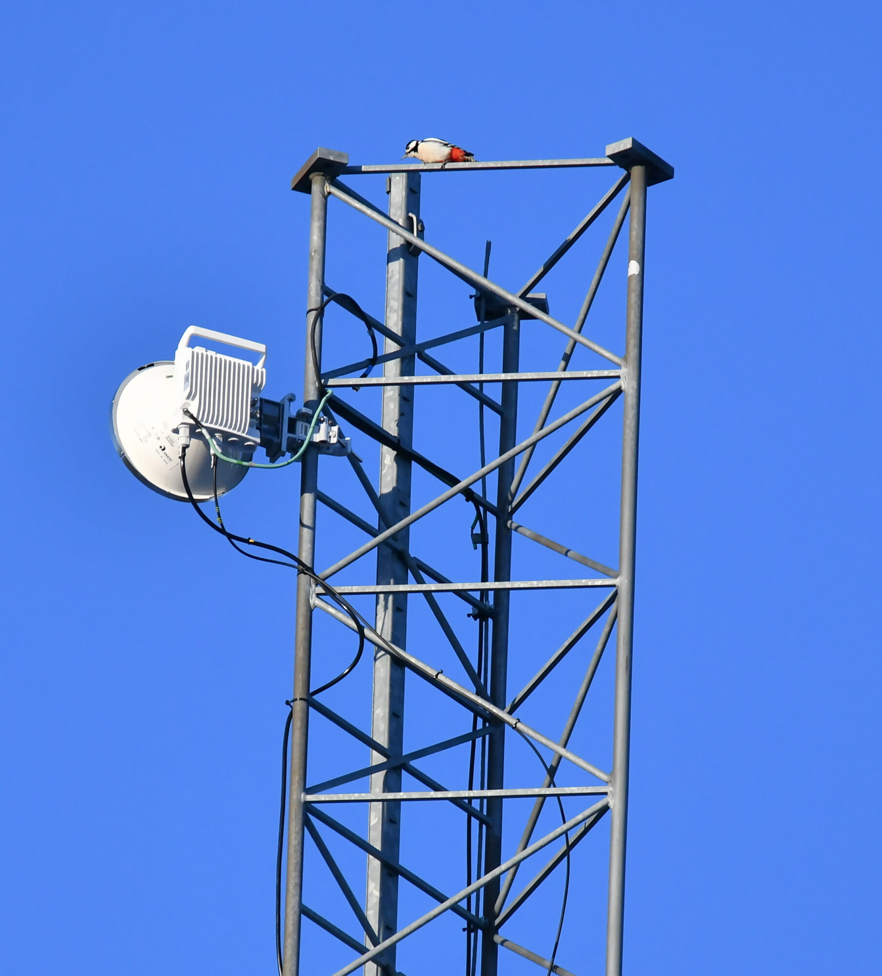 Valokuvaaja: Matti Manninen