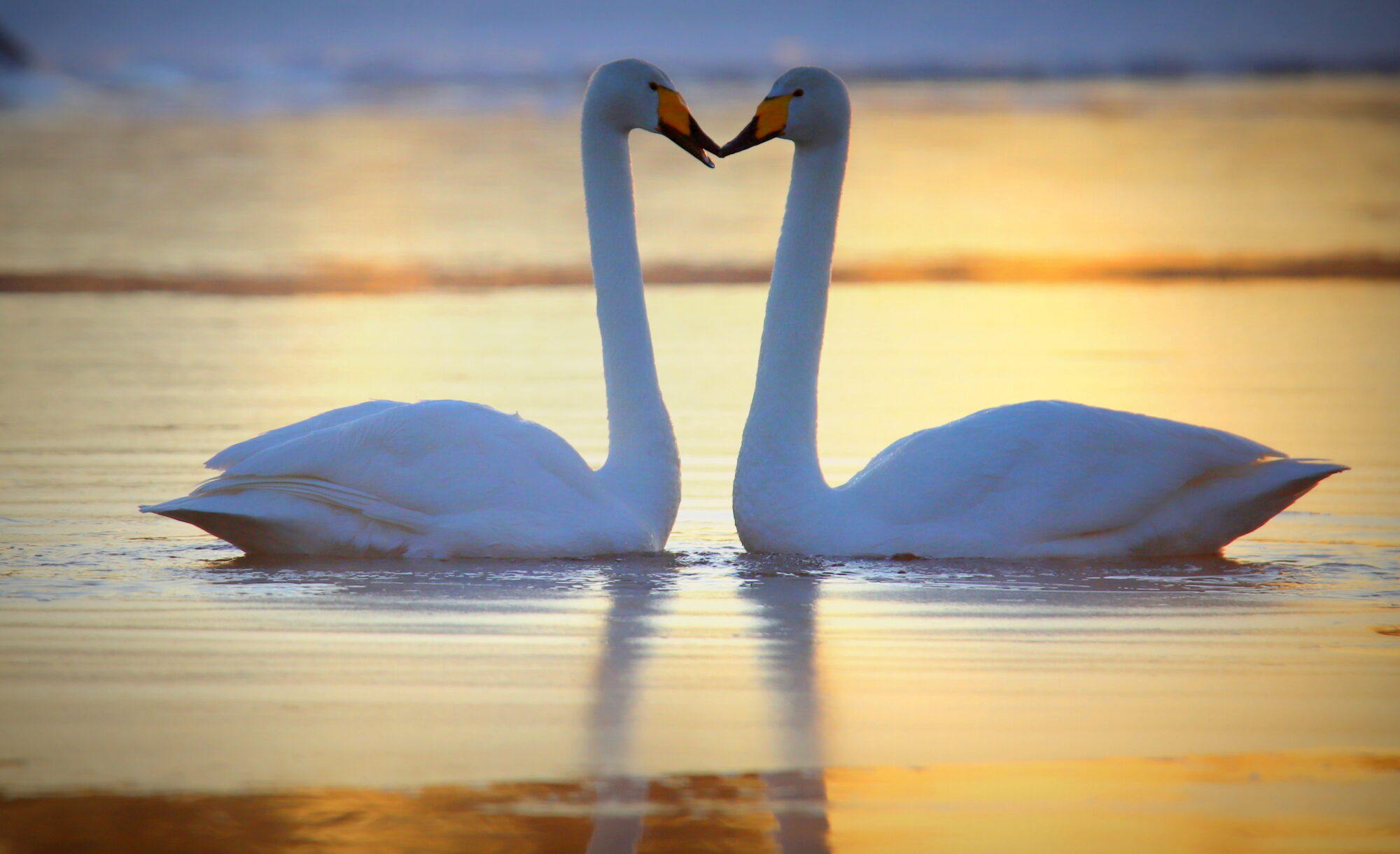 Valokuvaaja: sirpa jyske