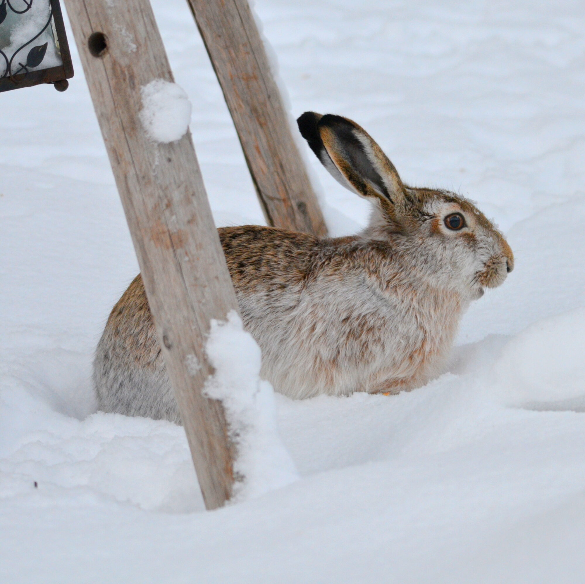 Valokuvaaja: Kaarlo Asikainen