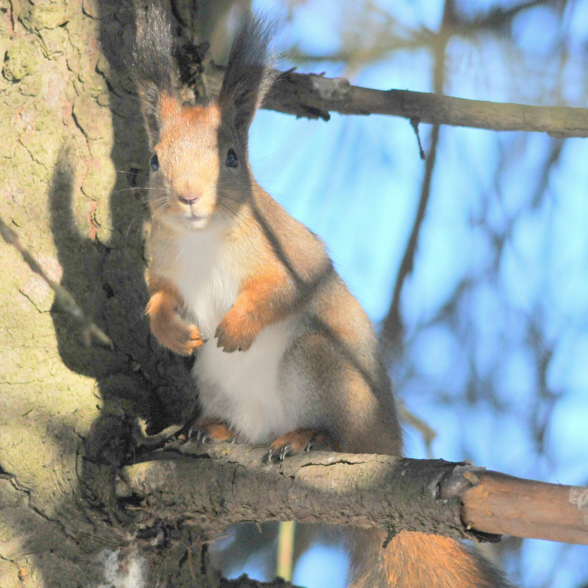 Valokuvaaja: Kaarlo Asikainen