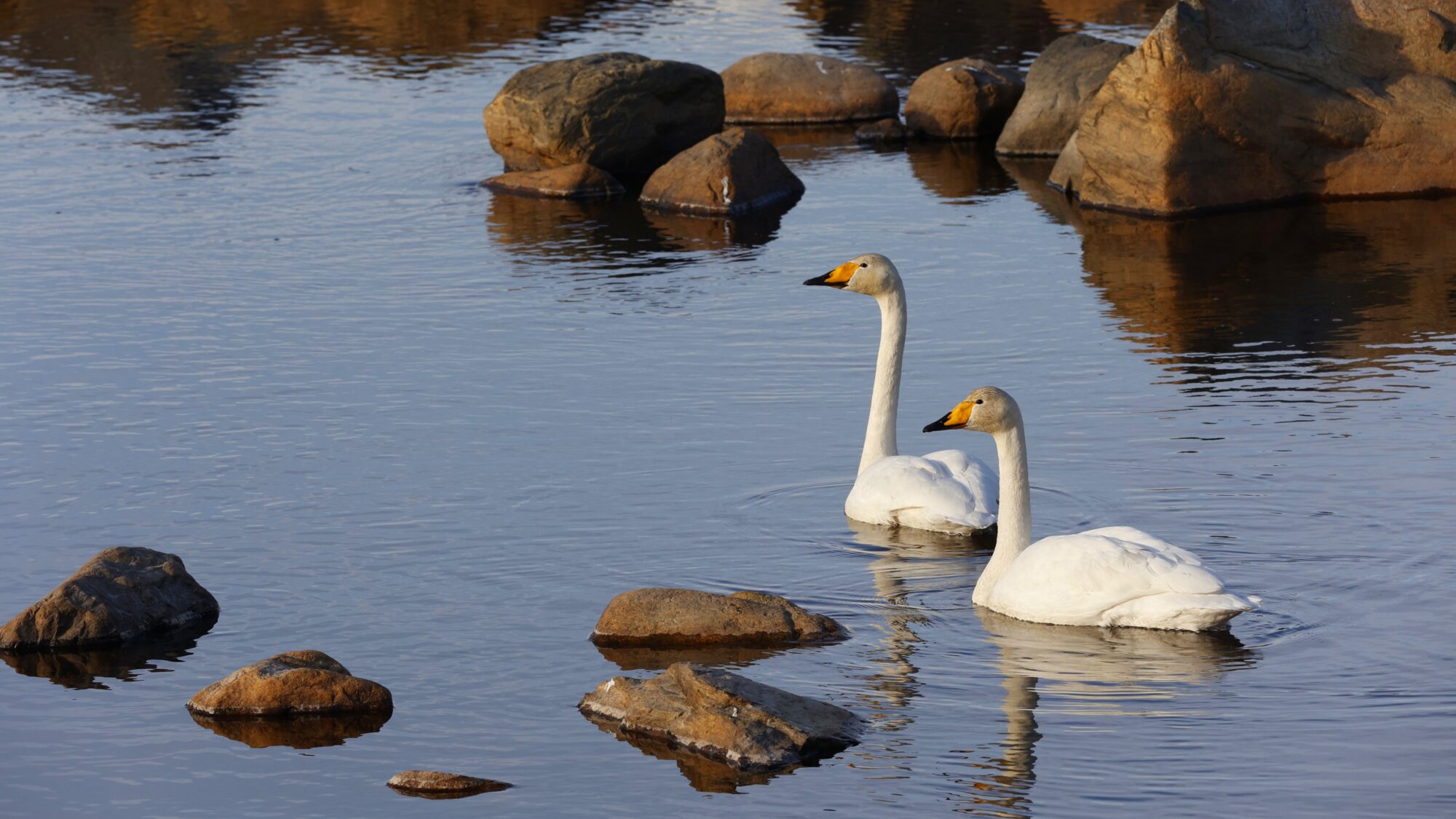 Valokuvaaja: Tommi Kujala
