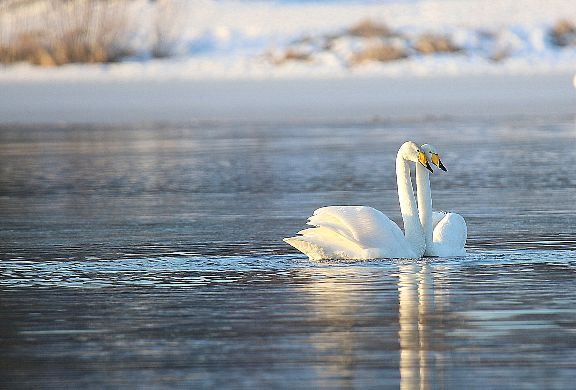 Valokuvaaja: sirpa jyske