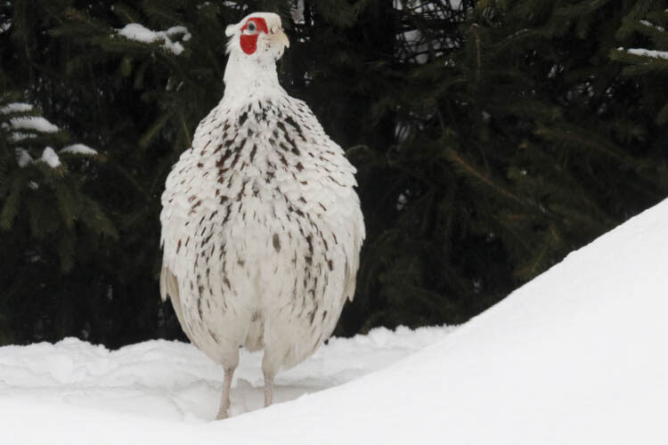 Valokuvaaja: Mari Kolehmainen