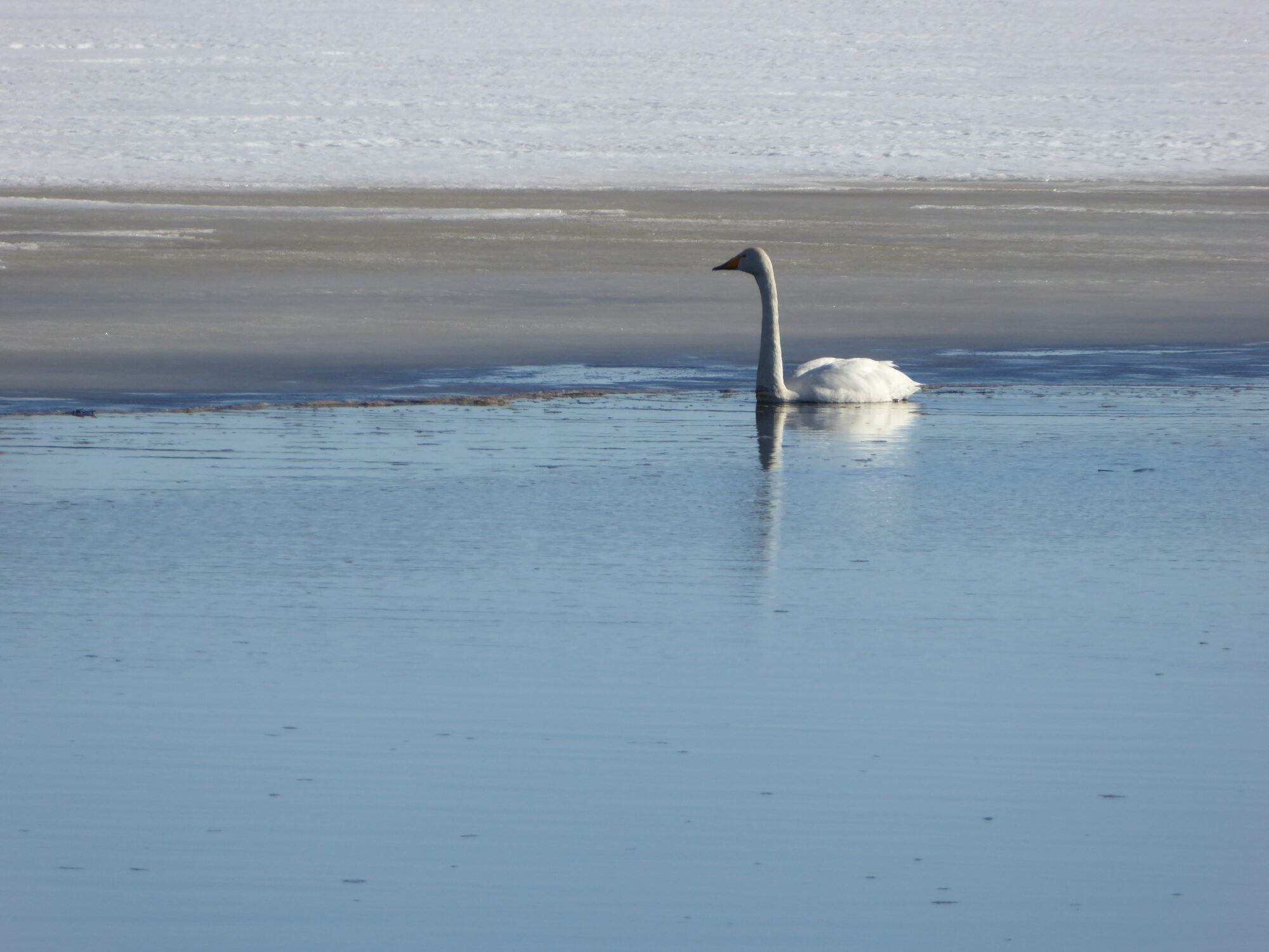 Valokuvaaja: Toni Asikainen Valokuvaaja: Toni Asikainen