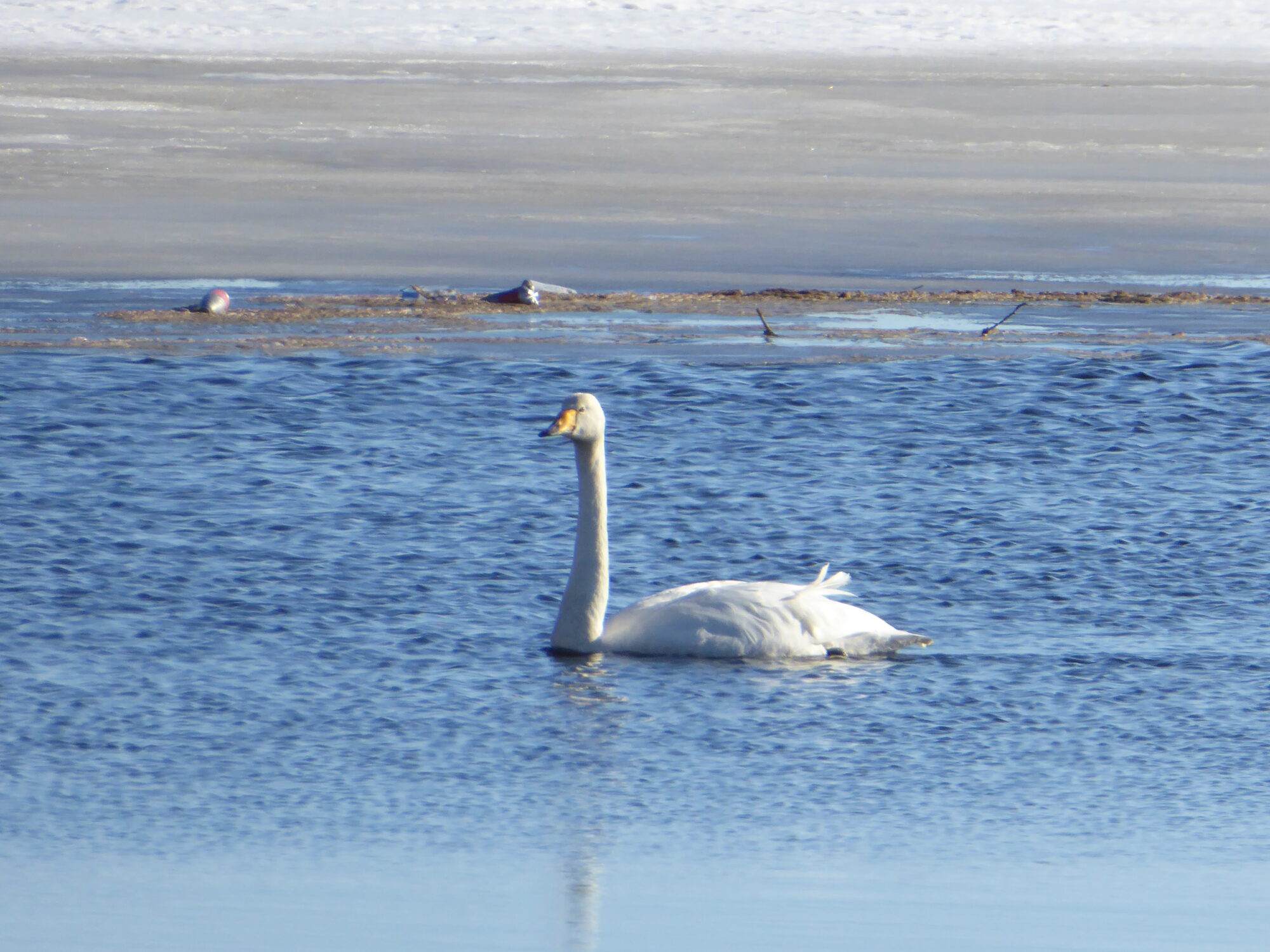 Valokuvaaja: Toni Asikainen Valokuvaaja: Toni Asikainen