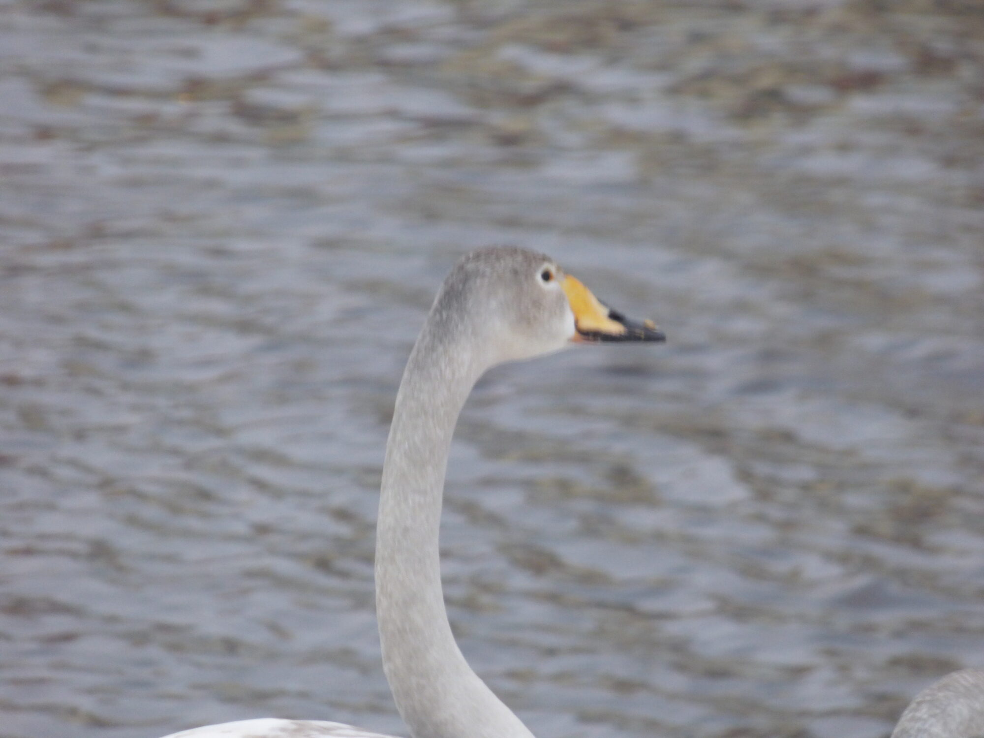 Valokuvaaja: Hannu Rissanen