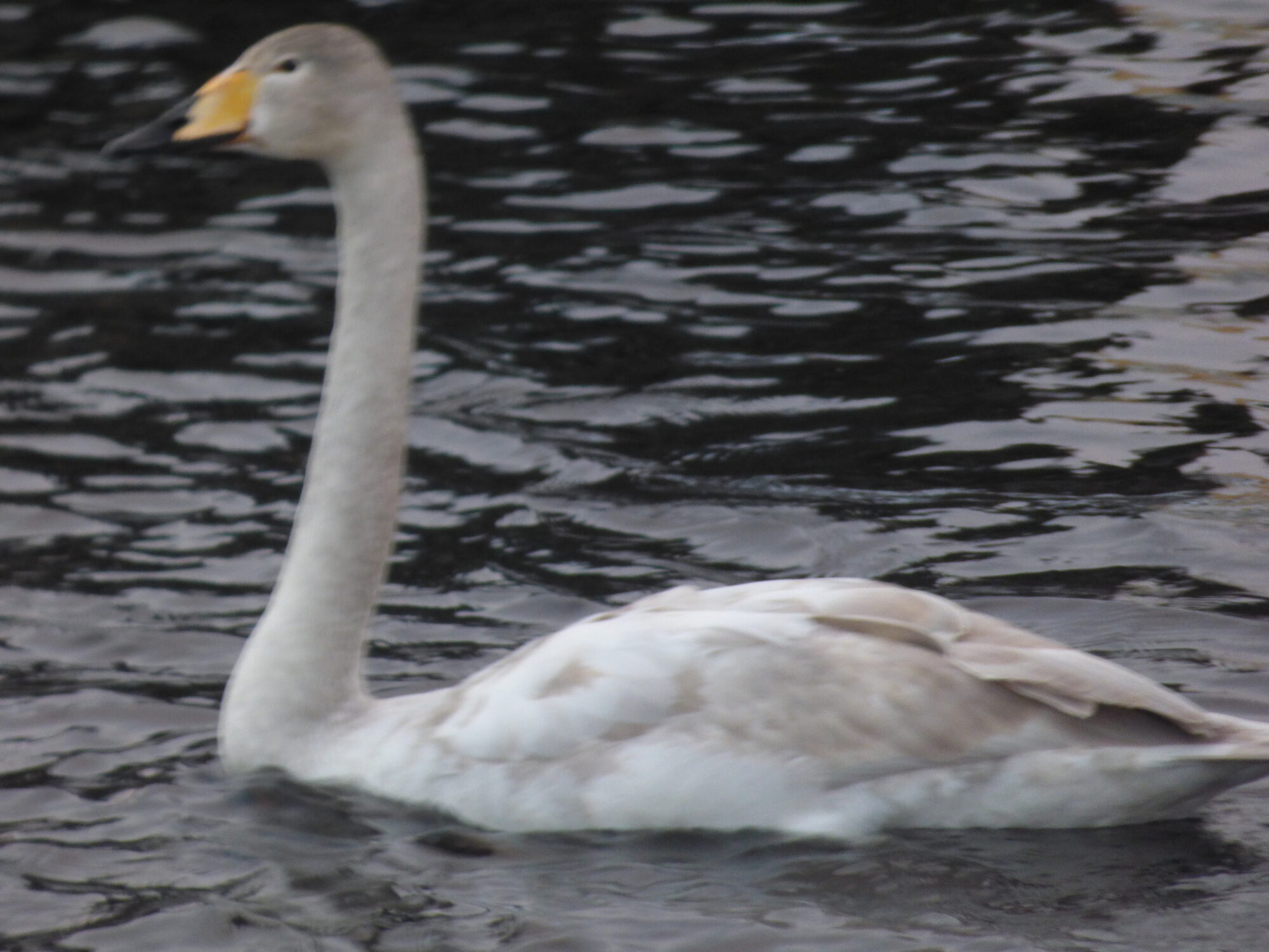 Valokuvaaja: Hannu Rissanen