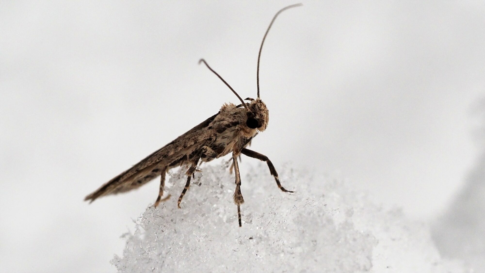 Valokuvaaja: Arja Valtonen