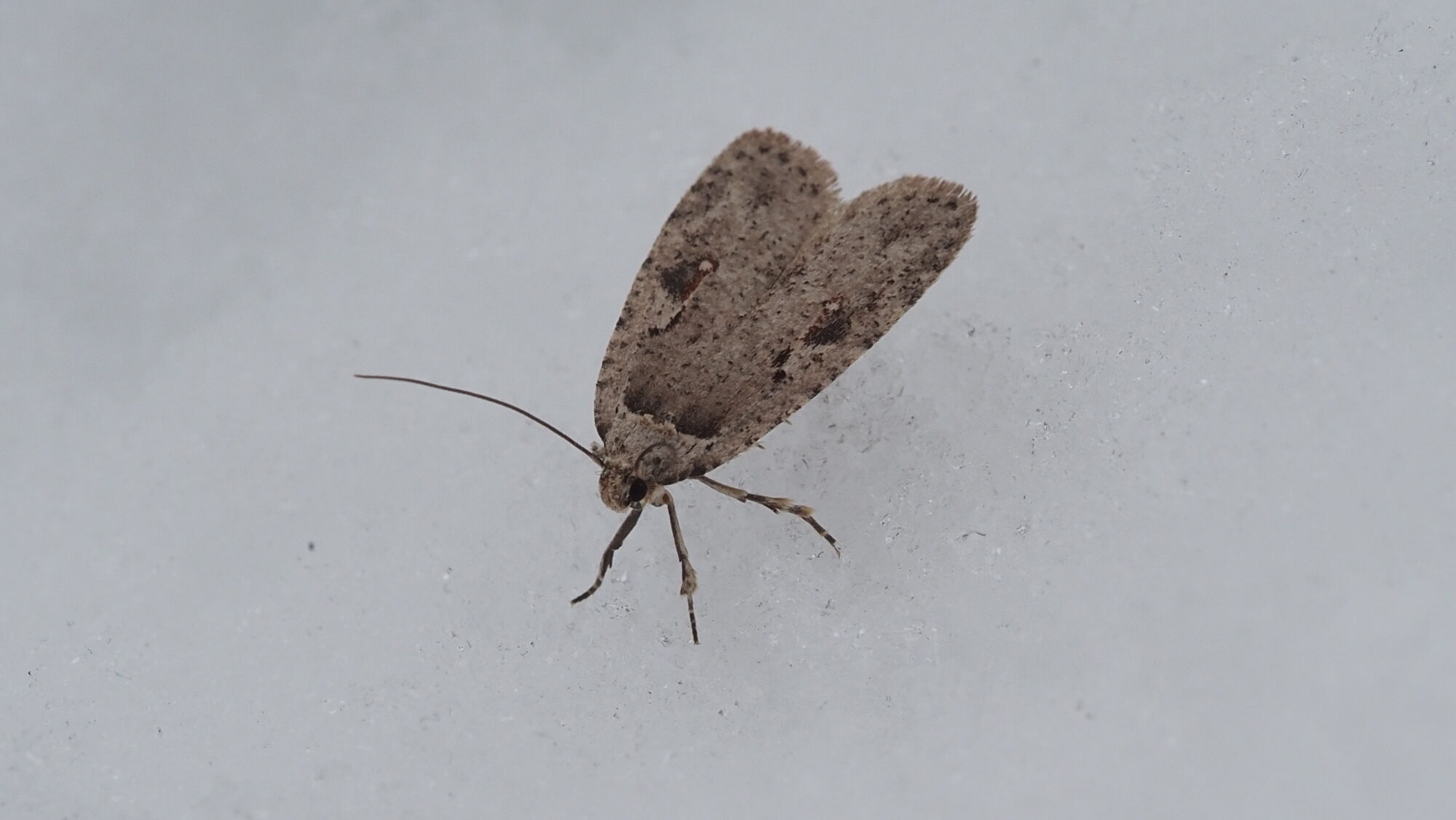 Valokuvaaja: Arja Valtonen