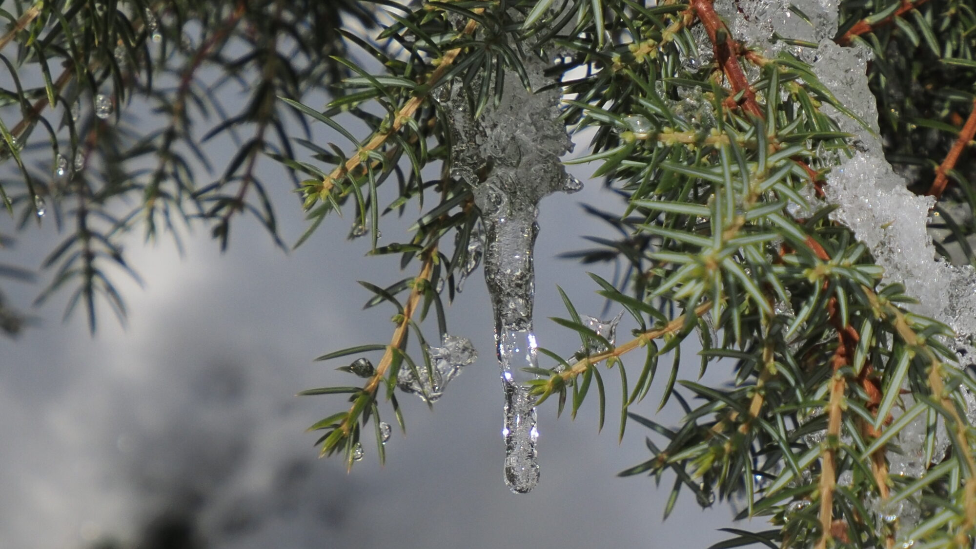 Valokuvaaja: Arja Valtonen