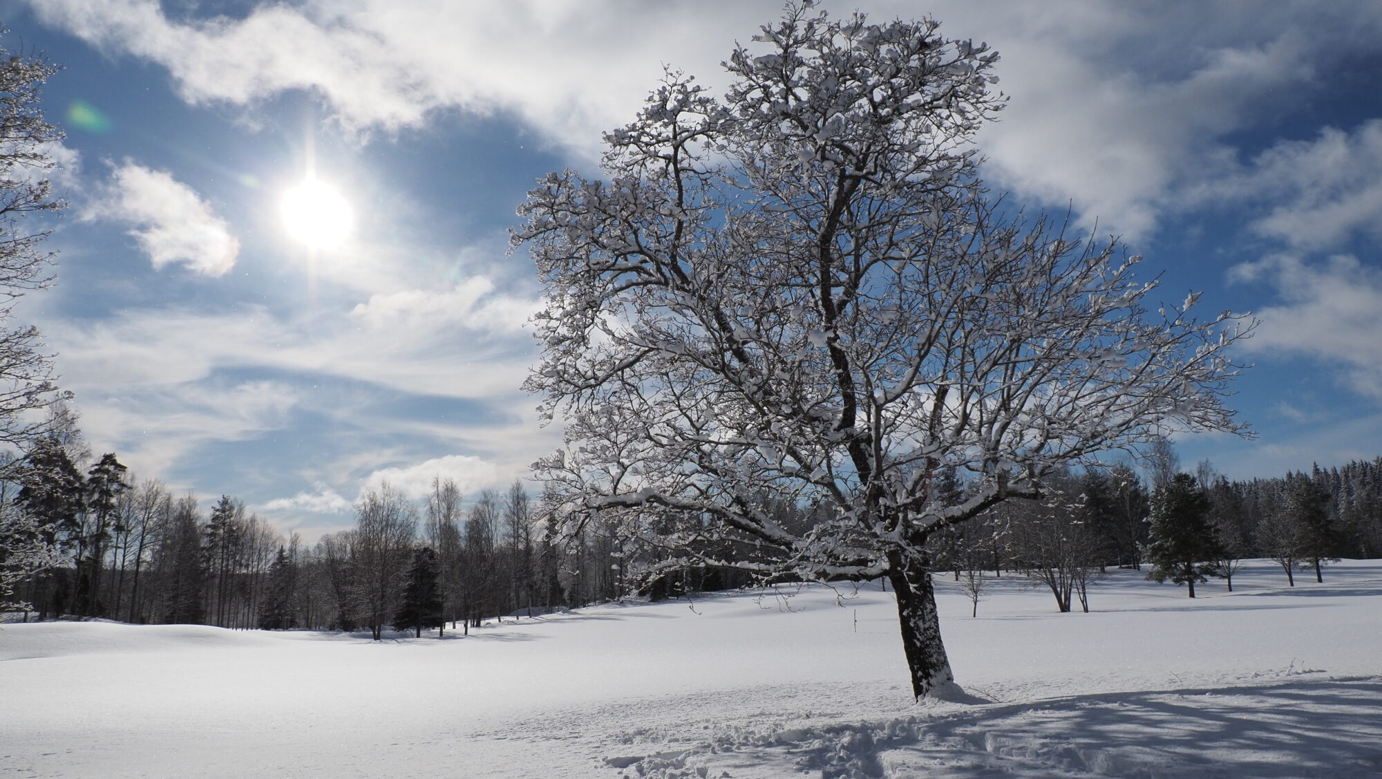 Valokuvaaja: Arja Valtonen