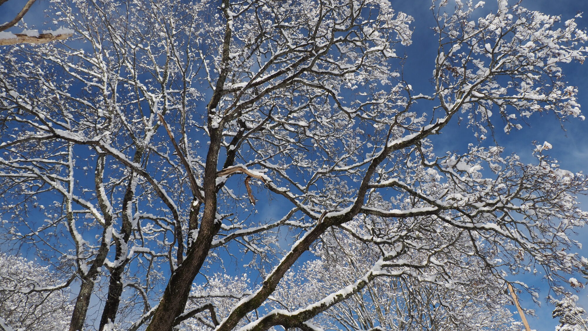 Valokuvaaja: Arja Valtonen