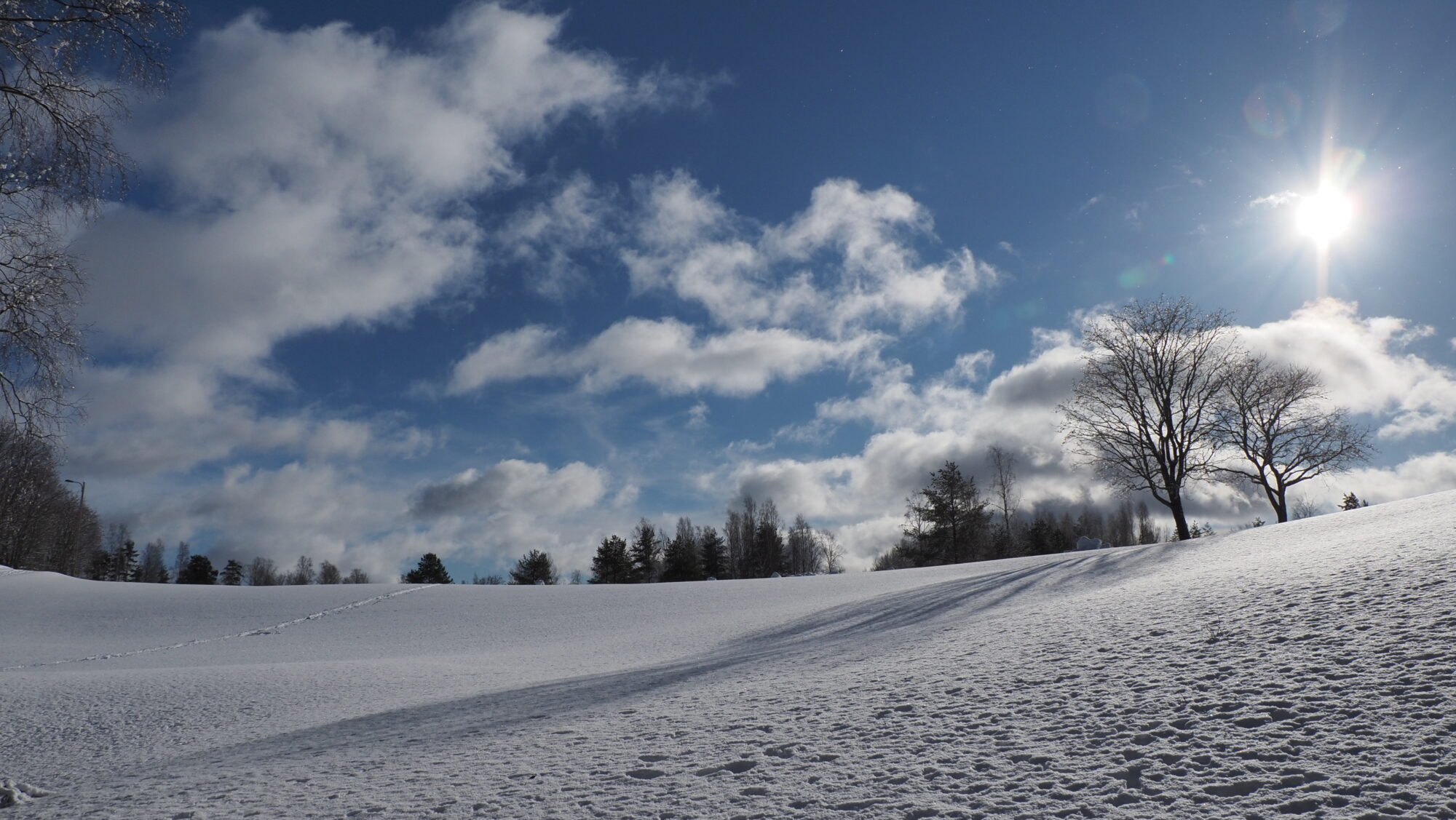 Valokuvaaja: Arja Valtonen Valokuvaaja: Arja Valtonen