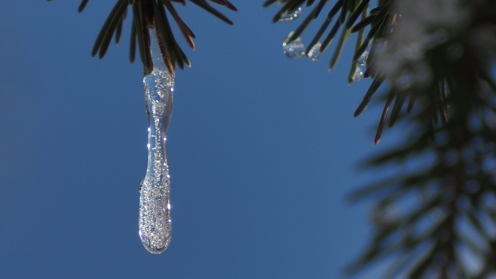 Valokuvaaja: Arja Valtonen