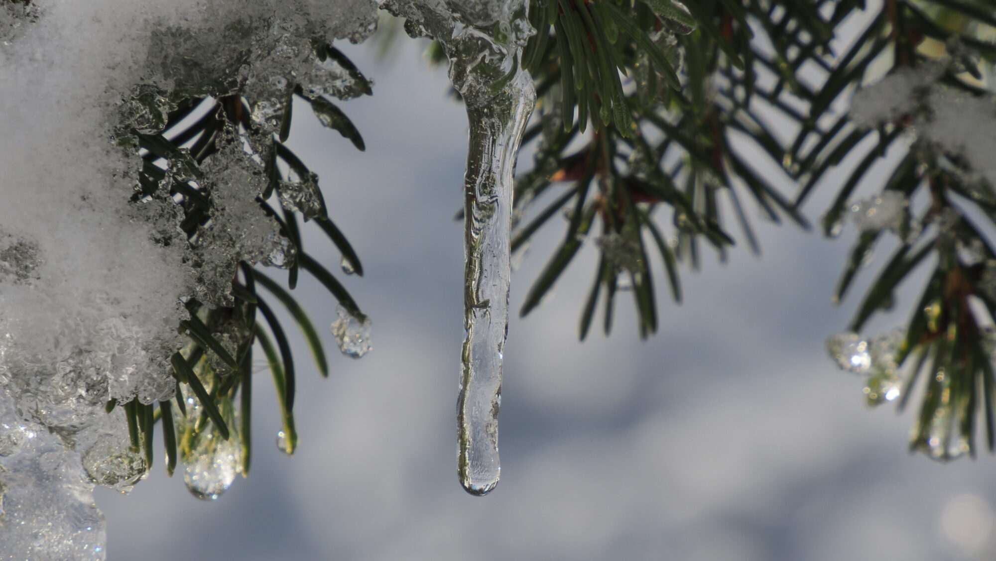 Valokuvaaja: Arja Valtonen