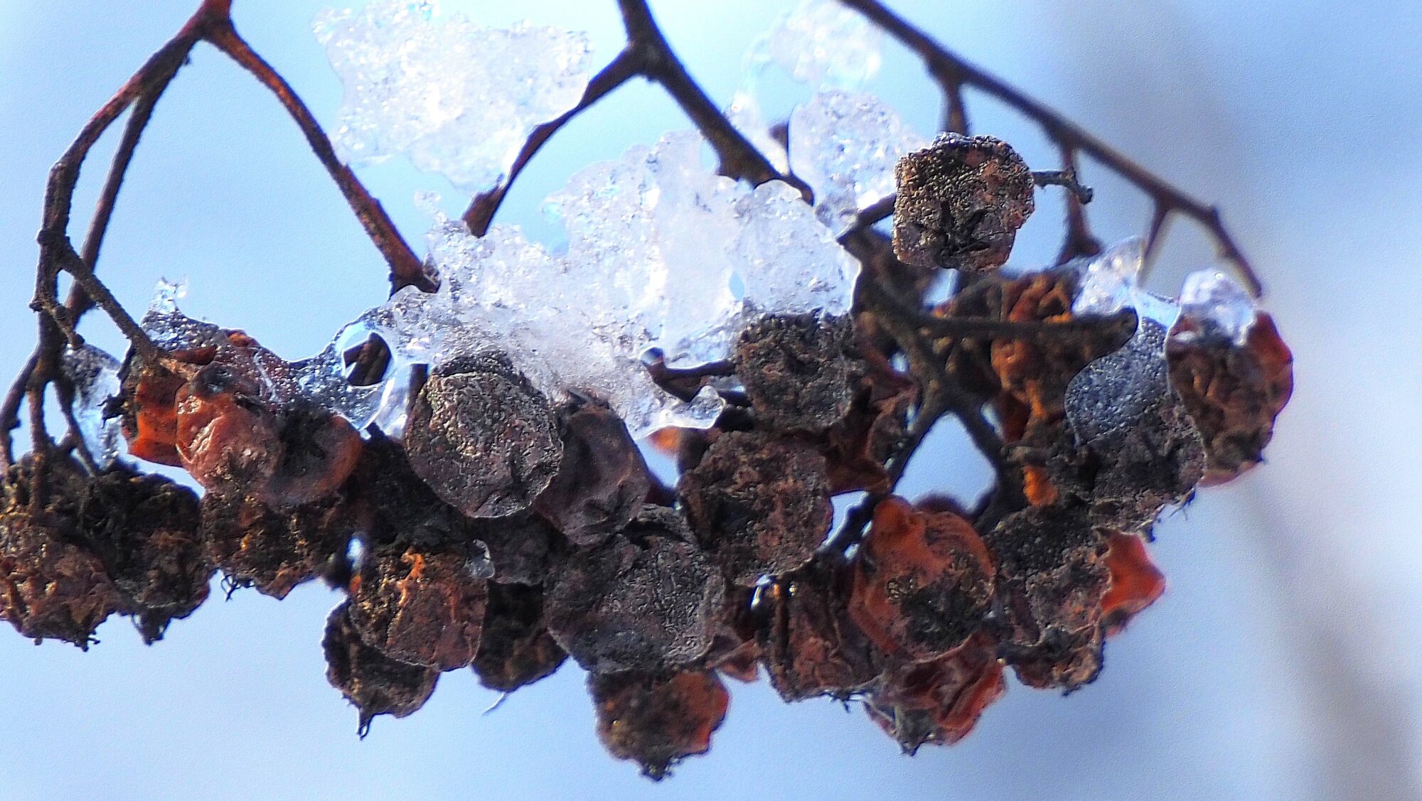 Valokuvaaja: Arja Valtonen Valokuvaaja: Arja Valtonen