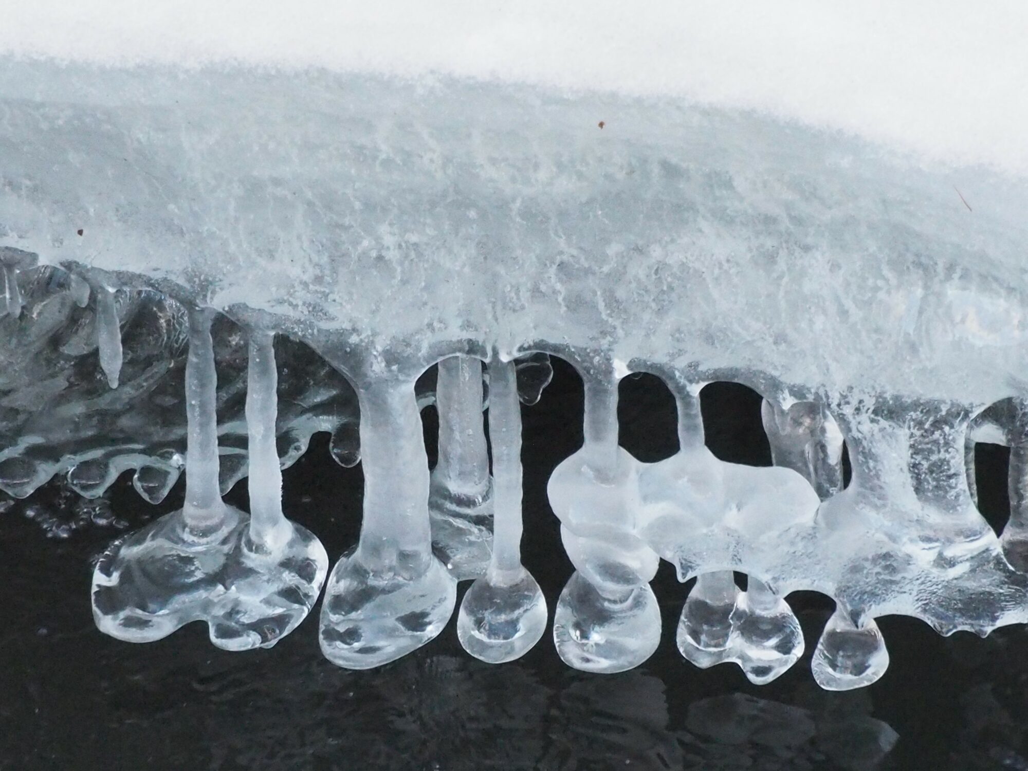 Valokuvaaja: Martti Valtonen Valokuvaaja: Martti Valtonen