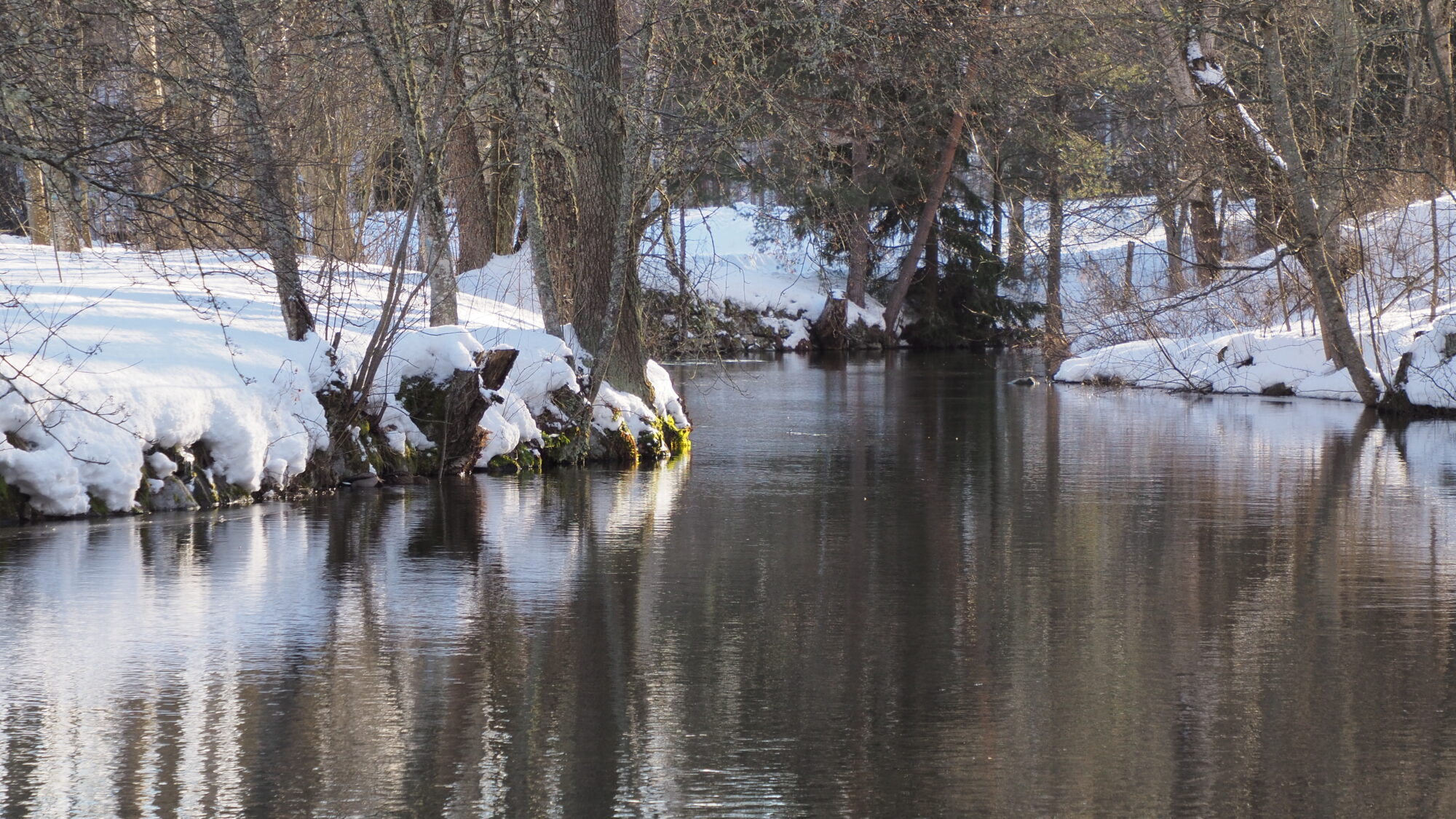 Valokuvaaja: Martti Valtonen
