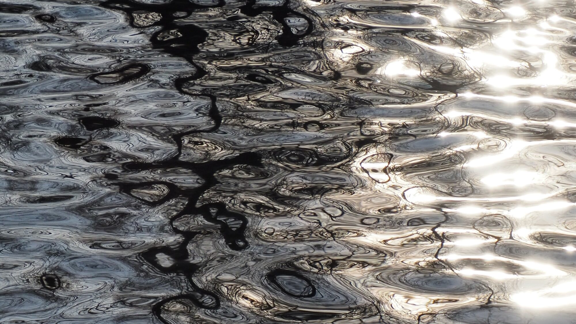 Valokuvaaja: Arja Valtonen