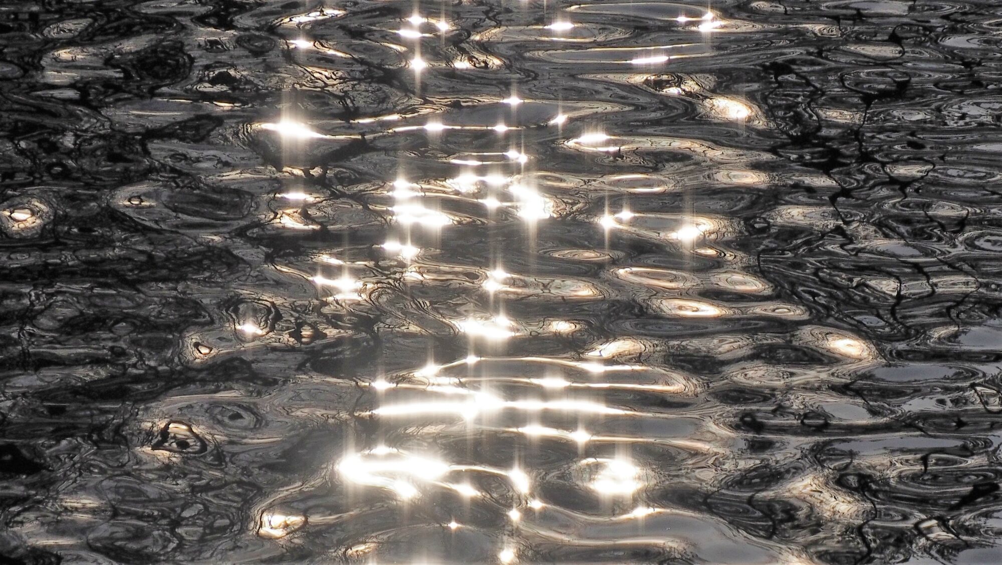 Valokuvaaja: Arja Valtonen