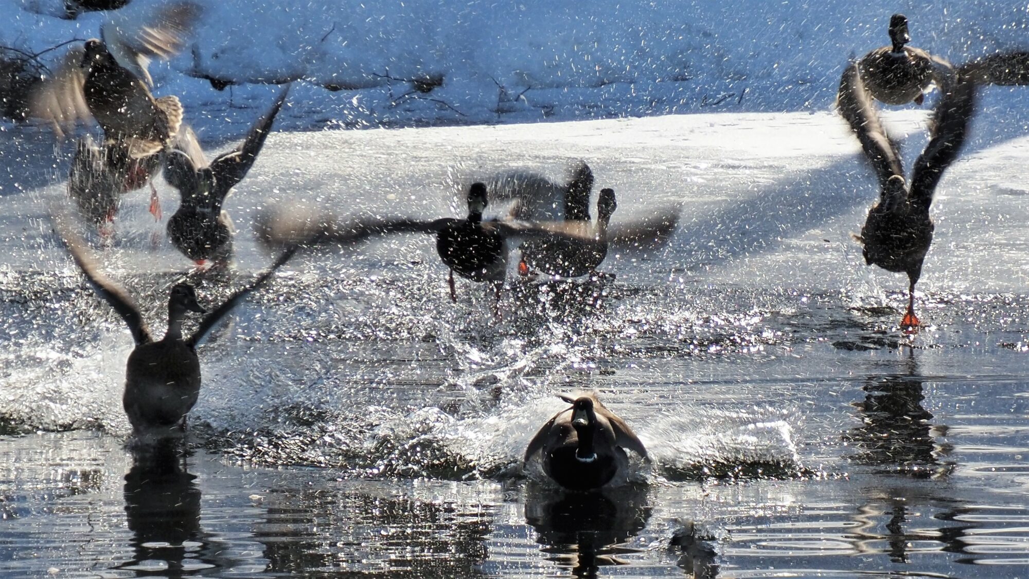 Valokuvaaja: Arja Valtonen