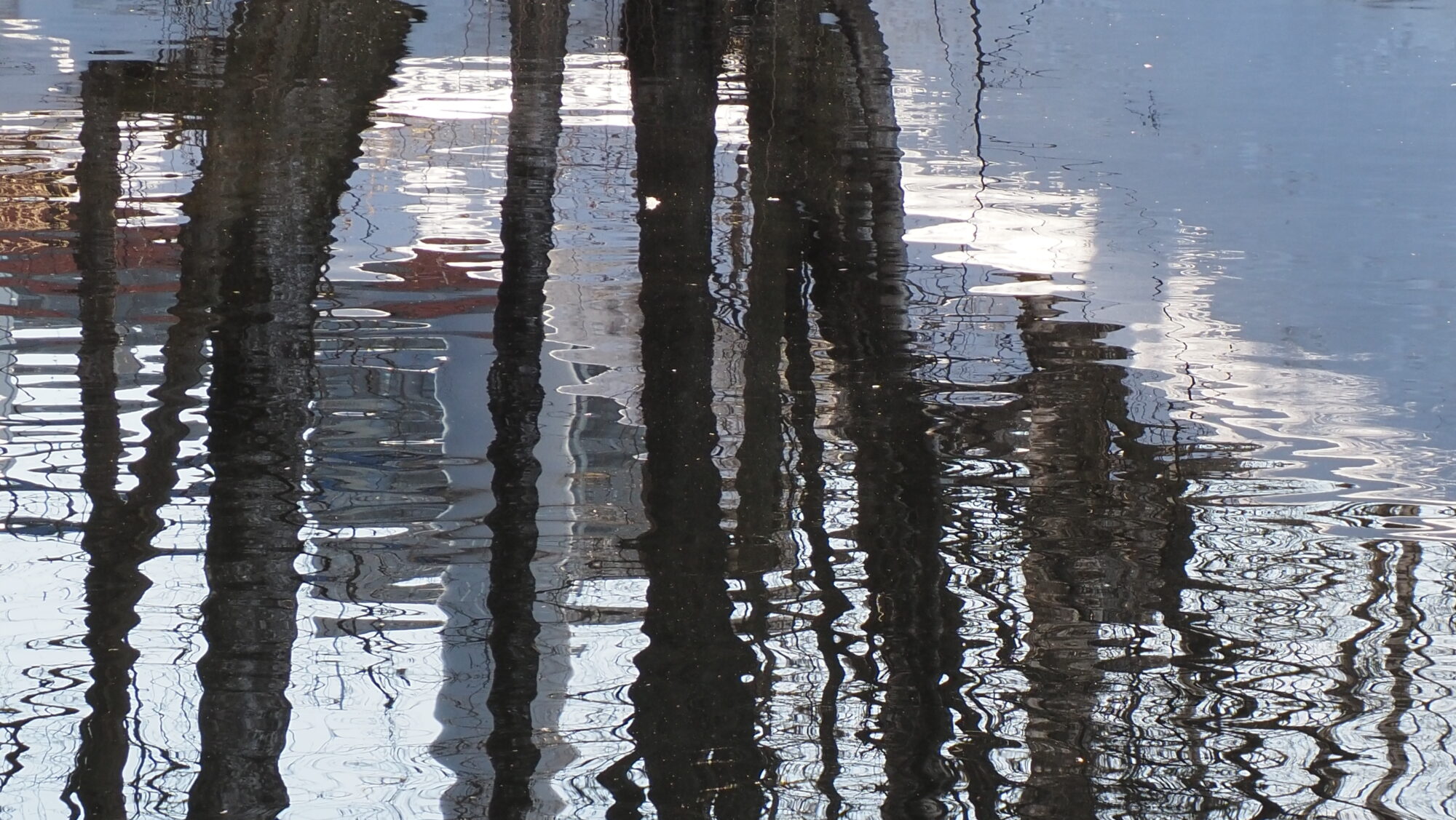 Valokuvaaja: Arja Valtonen Valokuvaaja: Arja Valtonen