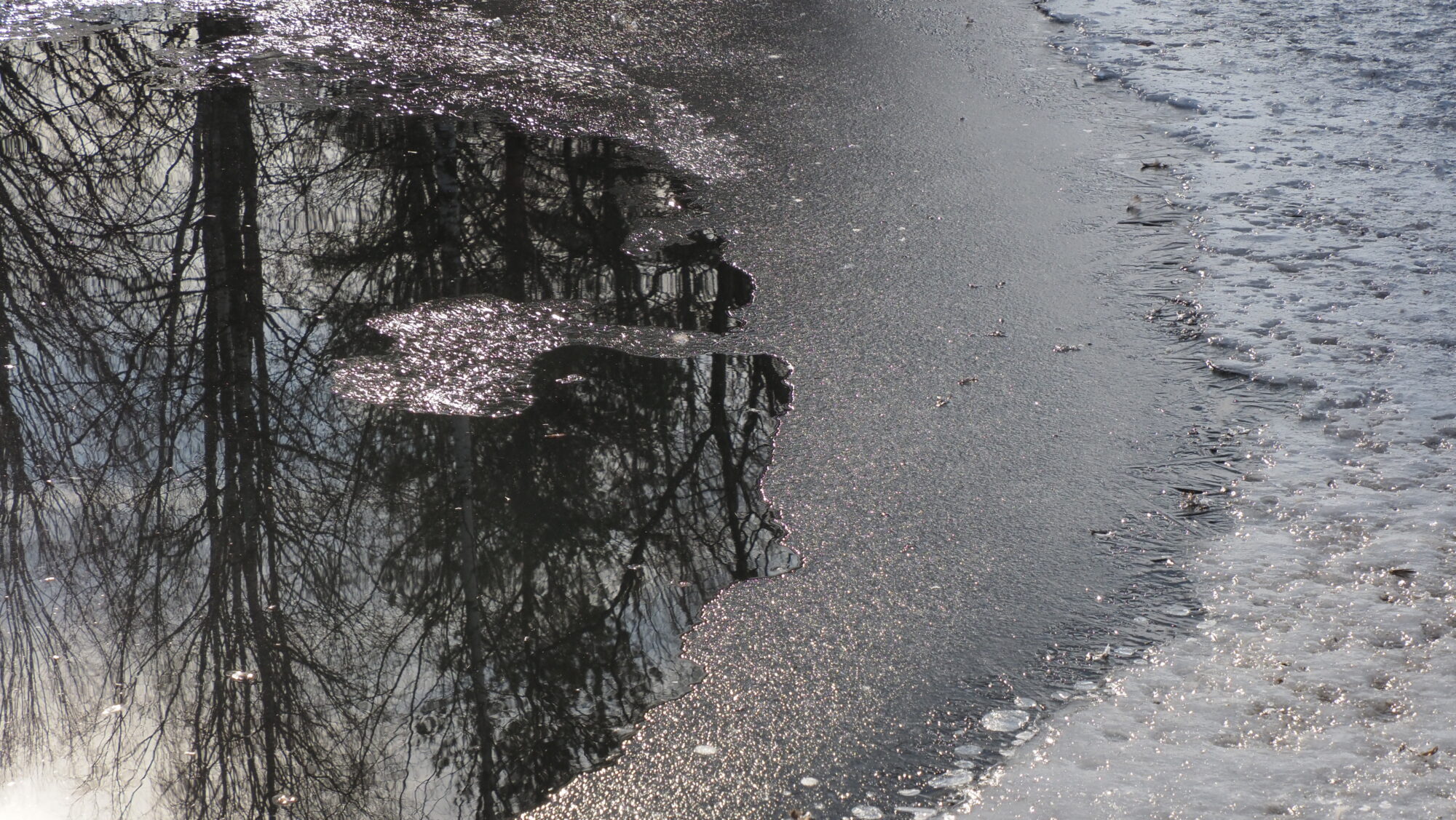 Valokuvaaja: Arja Valtonen