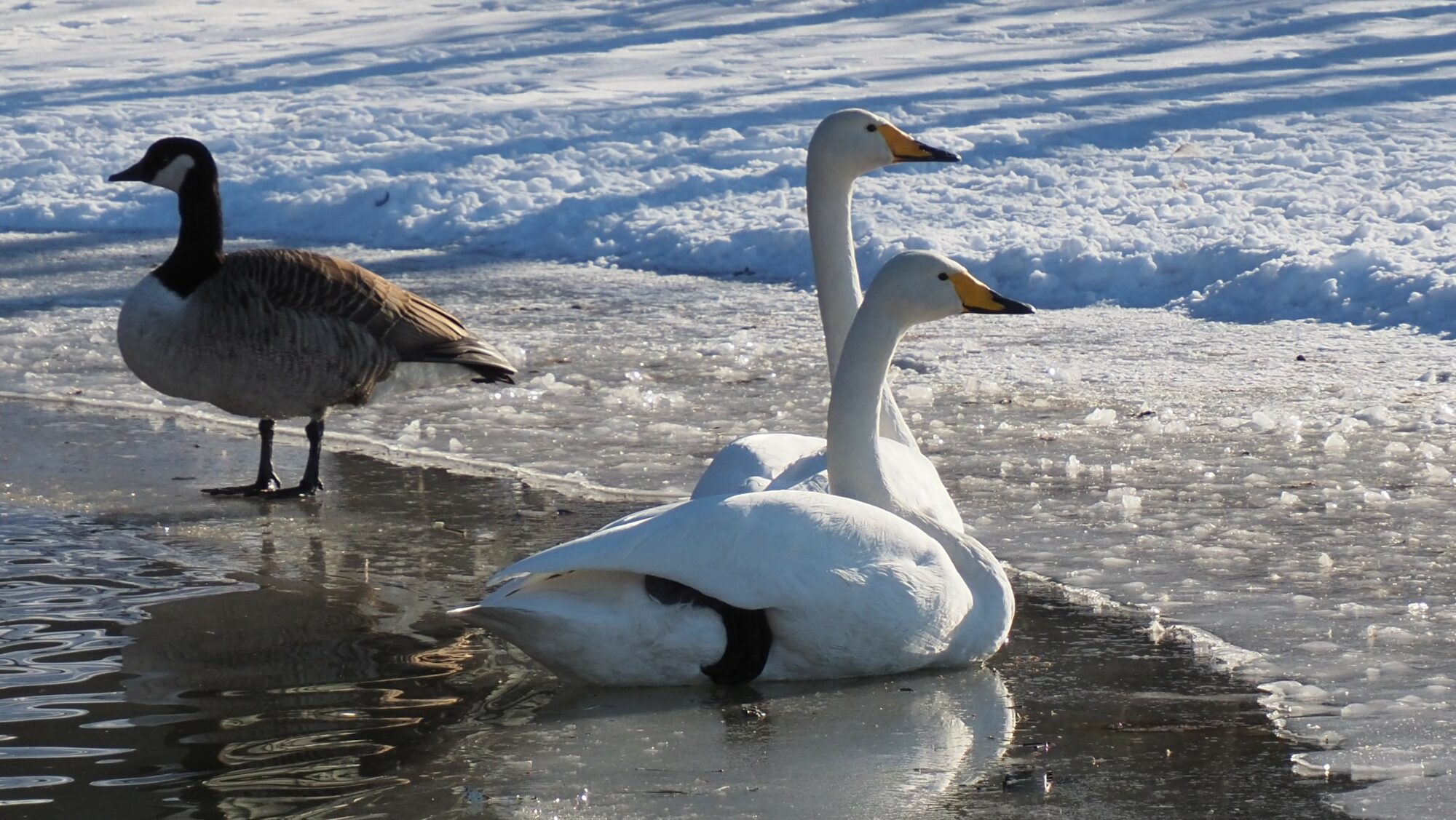 Valokuvaaja: Arja Valtonen