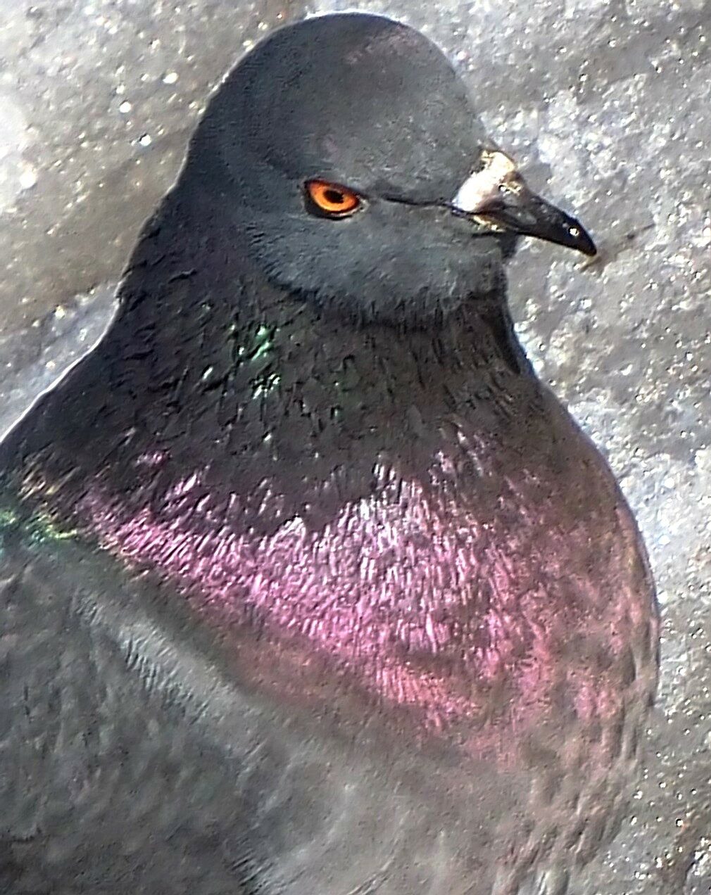 Valokuvaaja: Arja Valtonen