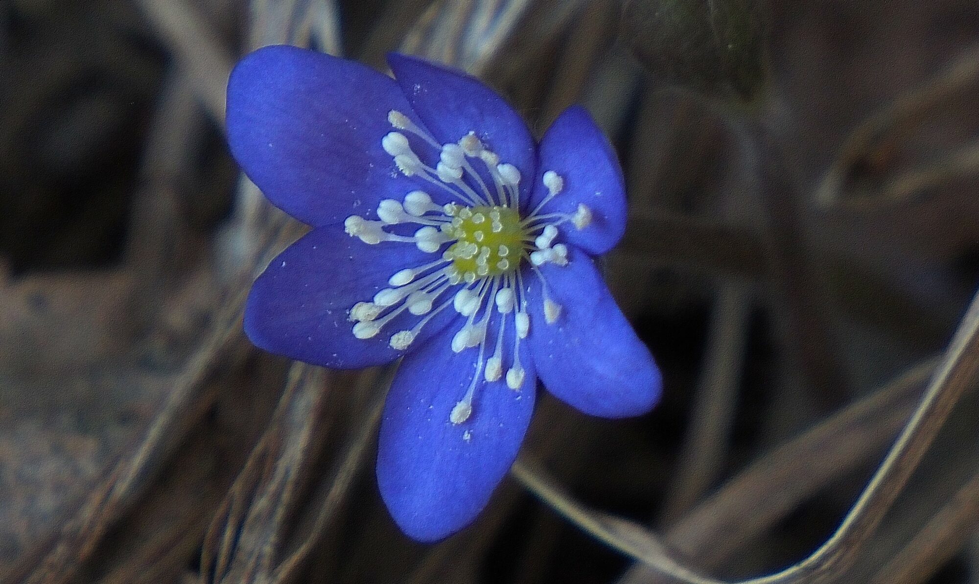 Valokuvaaja: Arja Valtonen