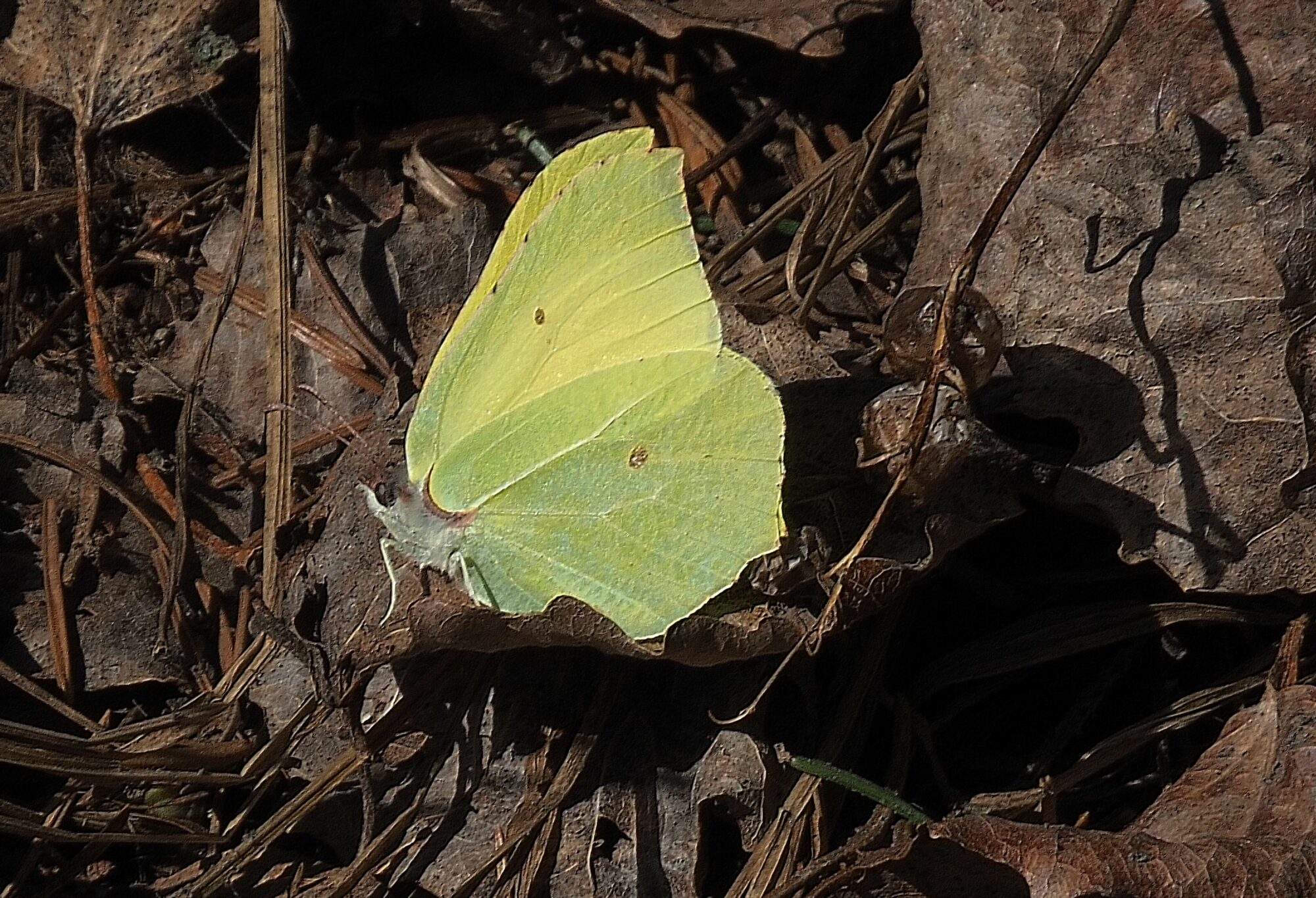 Valokuvaaja: Arja Valtonen