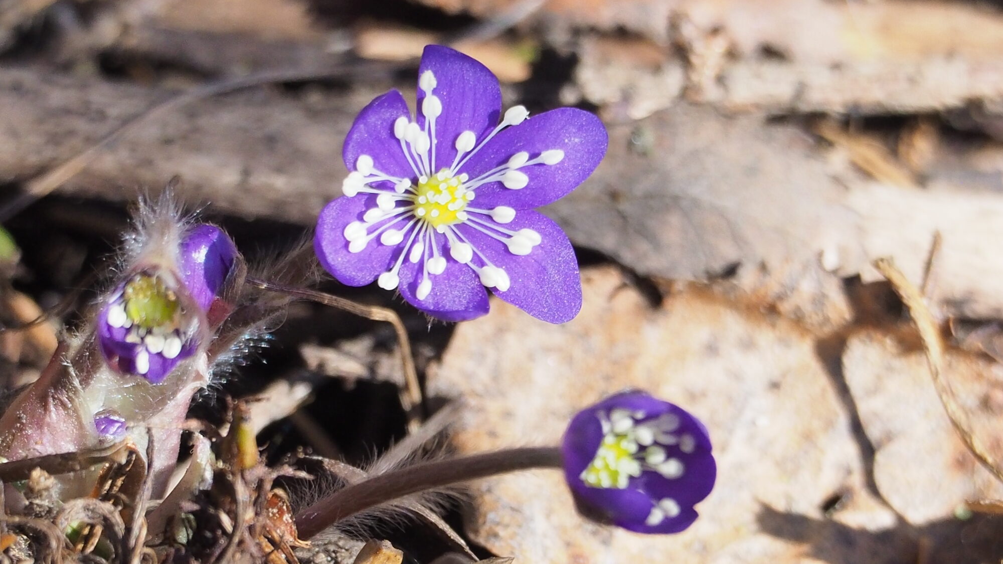 Valokuvaaja: Martti Valtonen Valokuvaaja: Martti Valtonen