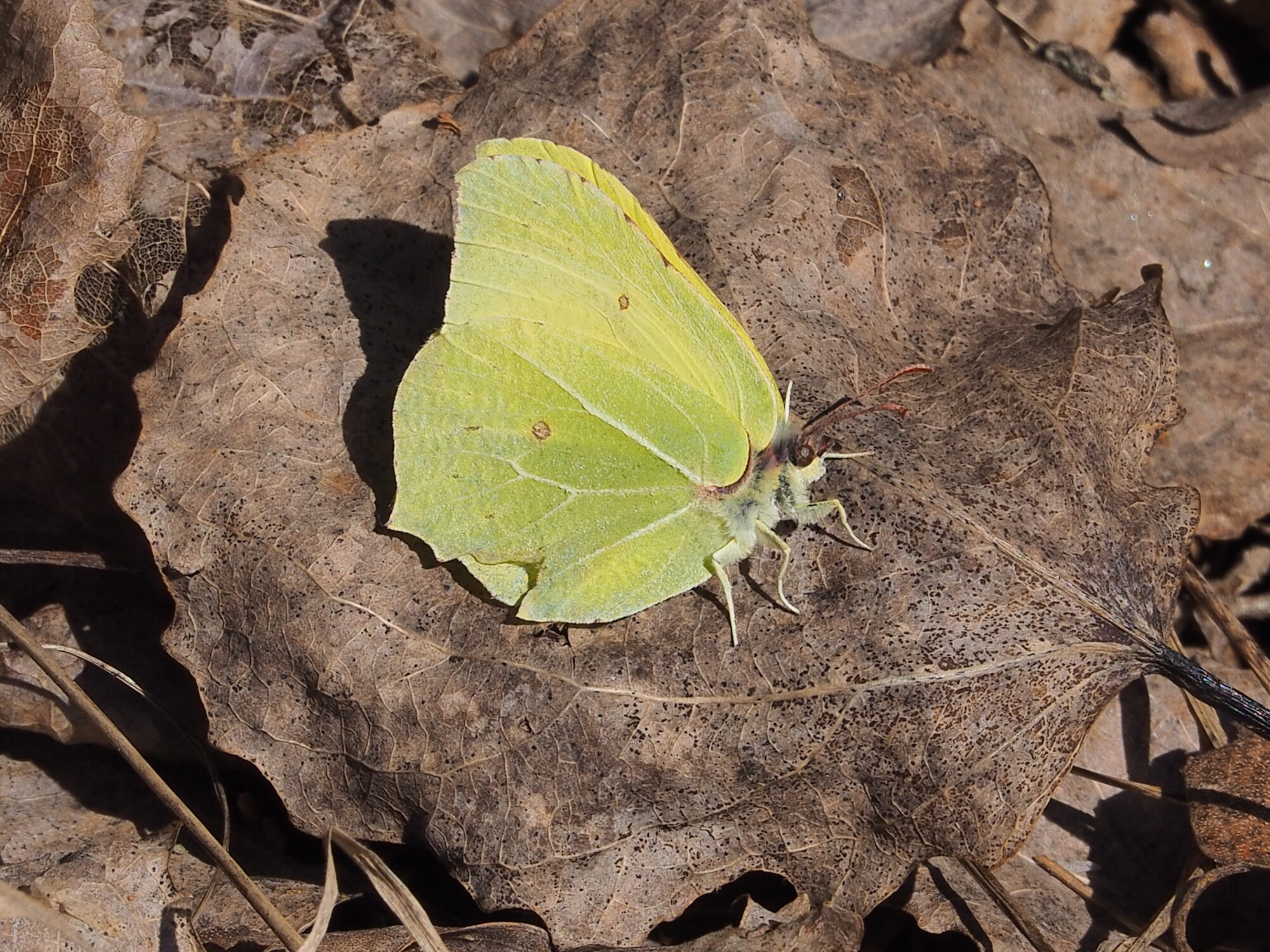 Valokuvaaja: Martti Valtonen Valokuvaaja: Martti Valtonen