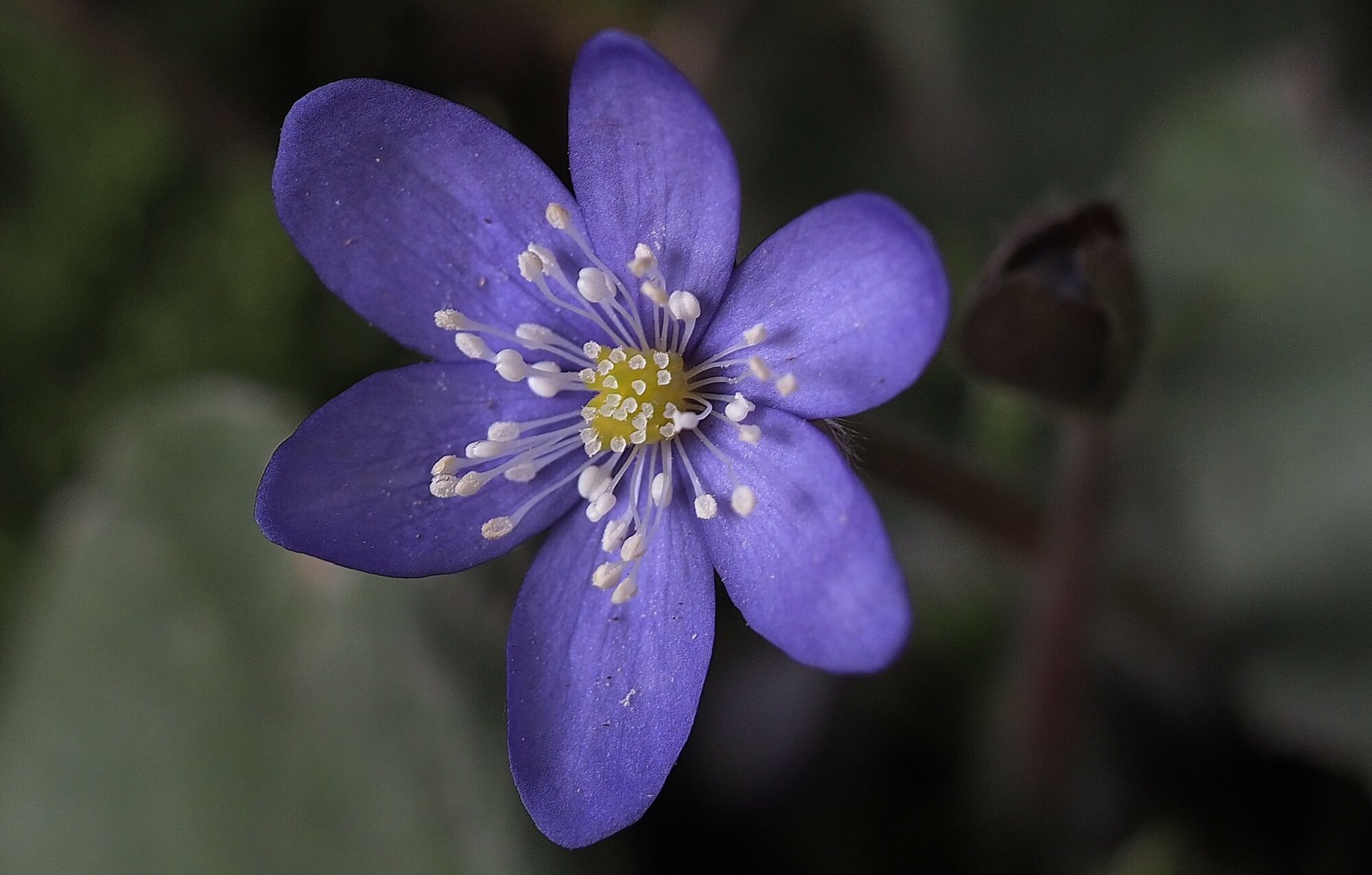 Valokuvaaja: Arja Valtonen