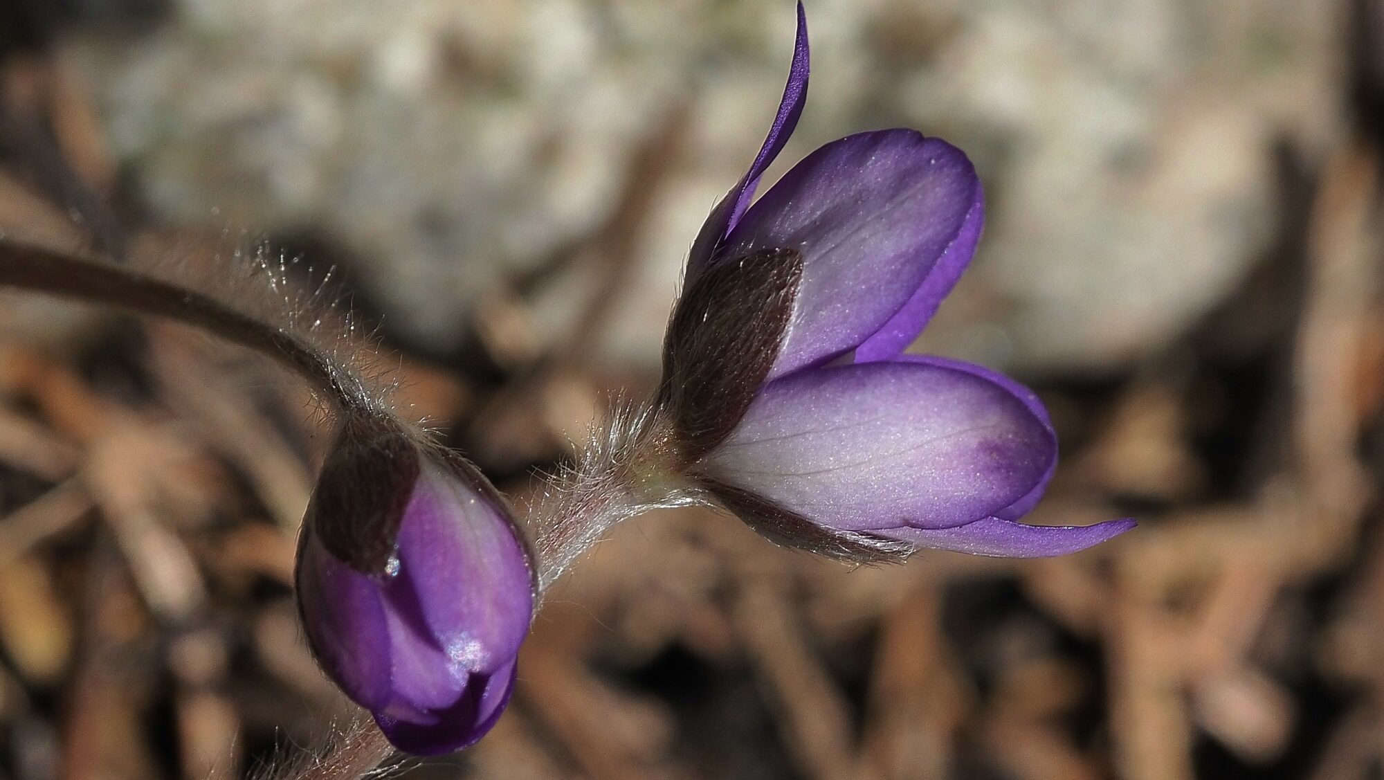 Valokuvaaja: Arja Valtonen Valokuvaaja: Arja Valtonen