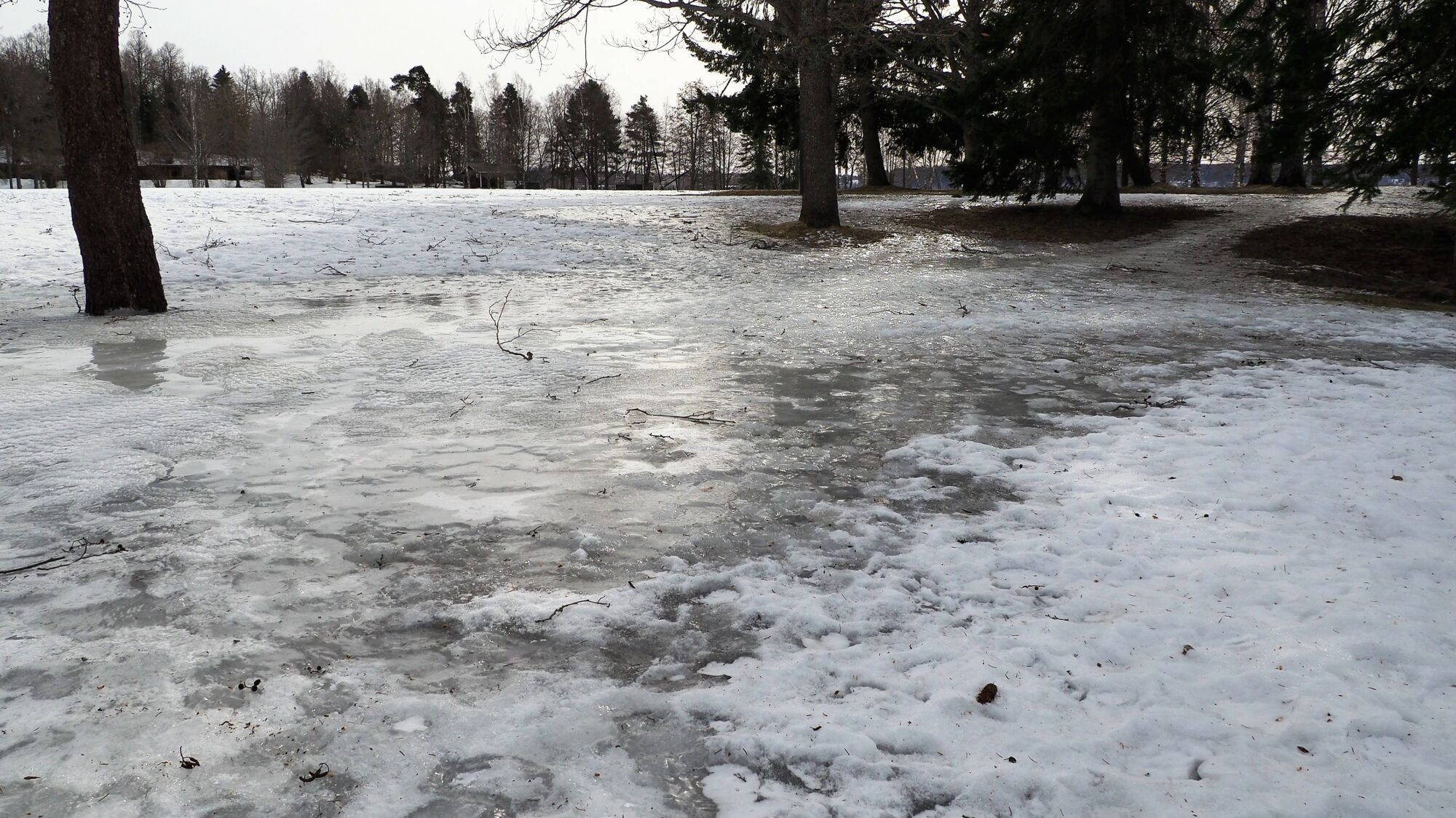Valokuvaaja: Martti Valtonen