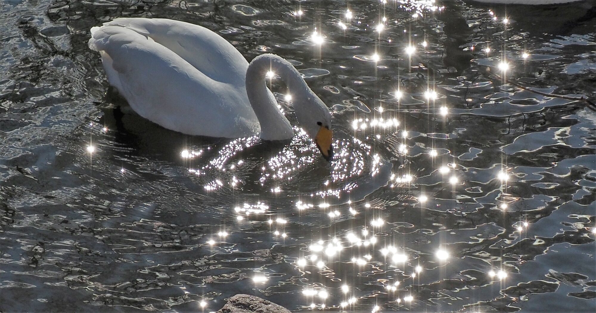 Valokuvaaja: Arja Valtonen
