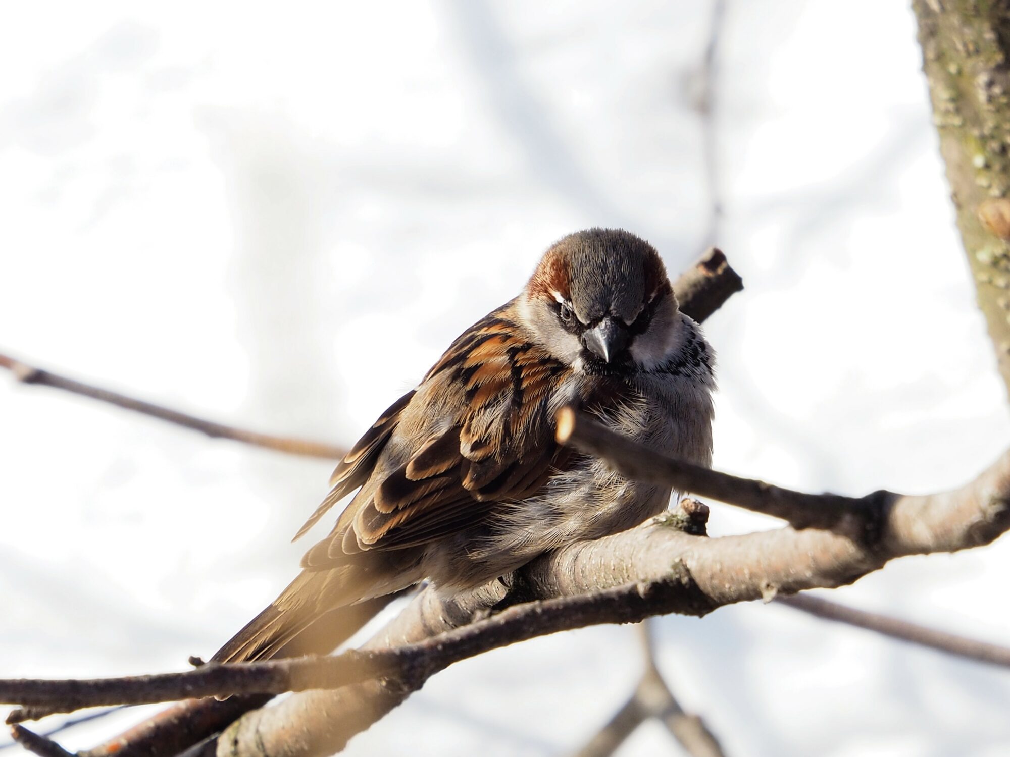 Valokuvaaja: Martti Valtonen